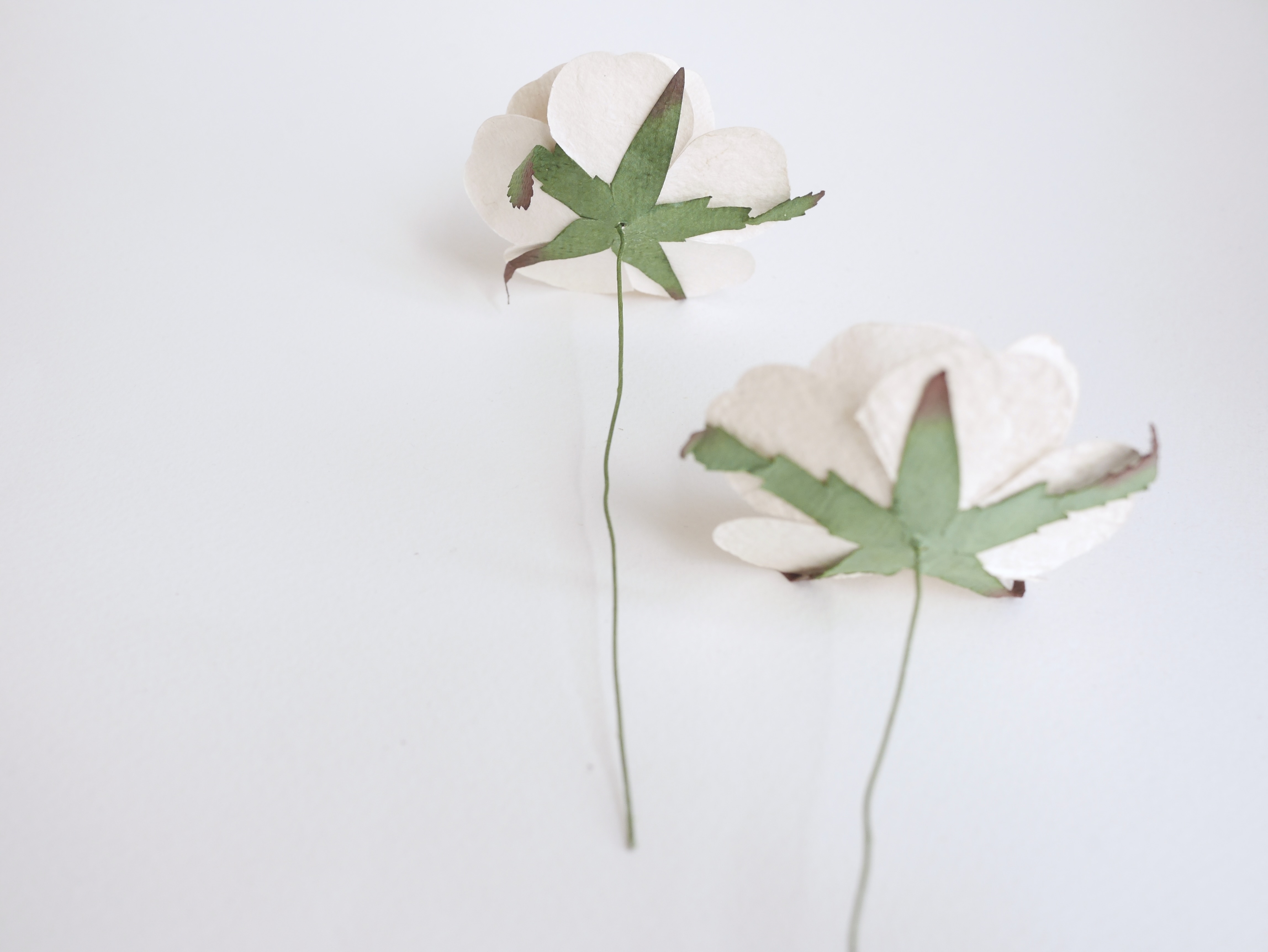 ดอกไม้กระดาษสา ขนาด 6.5 cm., สำหรับของชำร่วย, งานแต่งงาน, สีขาวตุ่น Paper flower, handmade flowers supplies, wedding decoration:10 Pieces mulberry rose, 6.5 cm. of-white color.