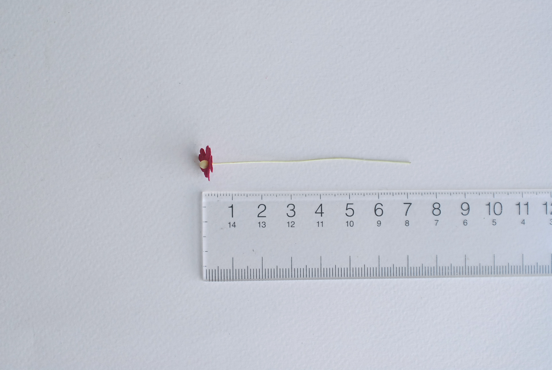 ดอกไม้กระดาษสา ดอกไม้กระดาษสาราคาส่ง ดอกไม้กระดาษสำหรับตกแต่ง งานแต่งงาน หรือติดของชำร่วย ดอกไม้จิ๋ว 100 ดอก ขนาด 1 cm. สีแดงเข้ม Small Paper Flower with stem, , 100 pcs., size 1 cm., small creeping ladies flowers 1 layer, red wine color.