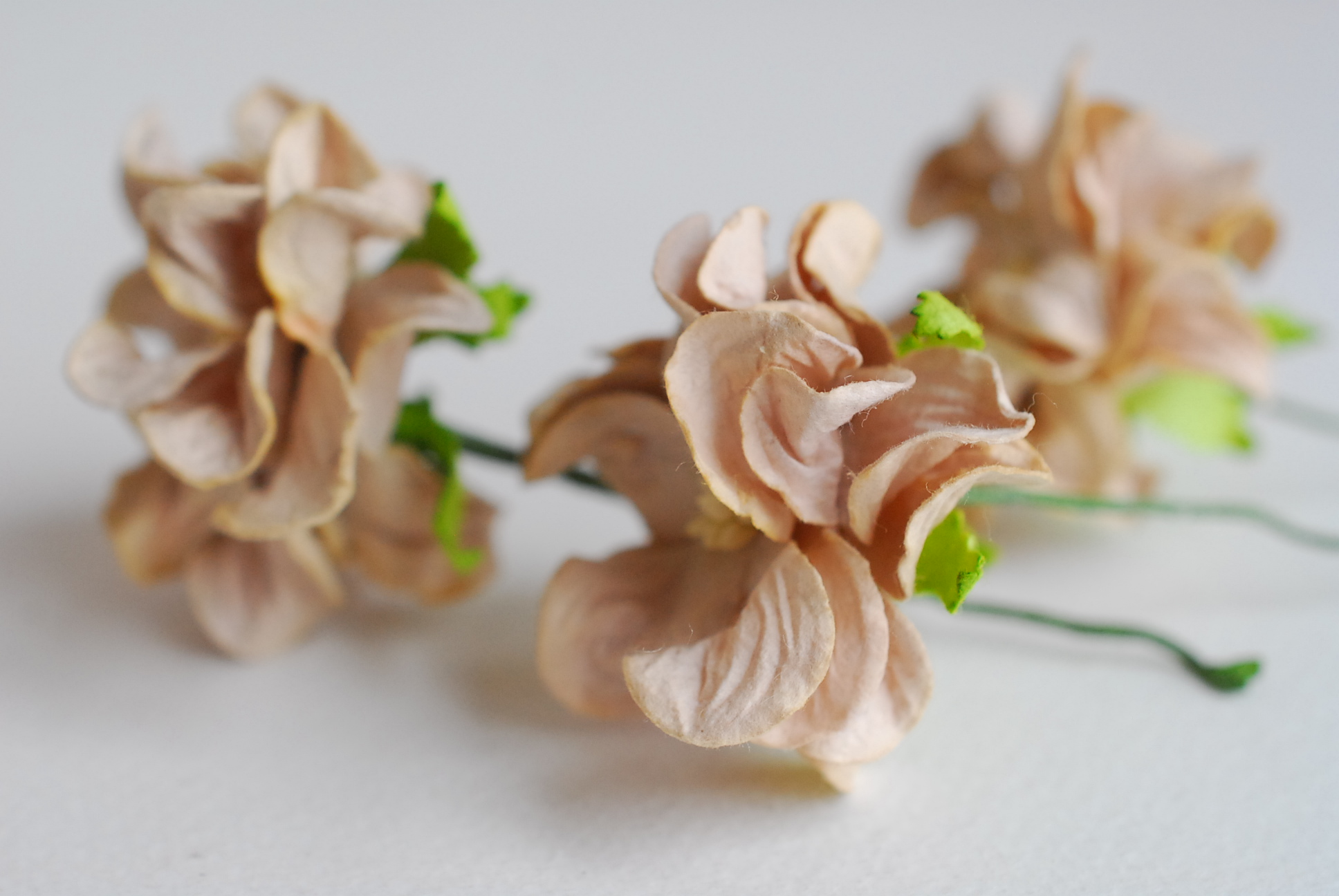 ดอกไม้กระดาษสา ราคาส่ง, ดอกการเดนเนียกระดาษสา ดอกไม้ประดิษฐ์ ตกแต่งงานแต่งงาน ประดิษฐ์ข้อมือเพื่อนเจ้าสาว ขนาด 3.5 cm., สำหรับของชำร่วย, งานแต่งงาน, ดอกไม้ทำข้อมือเจ้าสาว สีน้ำตาล จำนวน 25 ดอก Paper flower,25 Pieces mulberry gardenia flowers supplies, bro