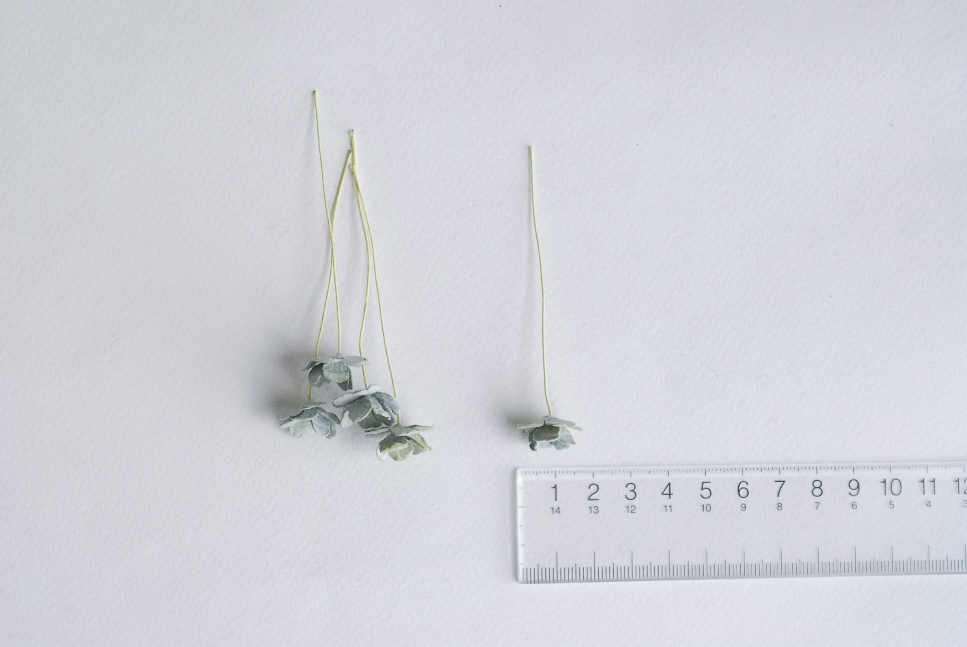 ดอกไม้กระดาษสา ราคาส่ง, ดอกไฮเดรนเยียกระดาษสา ดอกไม้ประดิษฐ์ ตกแต่งงานแต่งงาน ประดิษฐ์ข้อมือเพื่อนเจ้าสาว ขนาด 1.5 cm., สำหรับของชำร่วย, งานแต่งงาน, ดอกไม้ทำข้อมือเจ้าสาว สีเขียวตุ่น จำนวน 100 ดอก Paper flower,100 Pieces mulberry hydenyia, 1.5 cm. pale gr