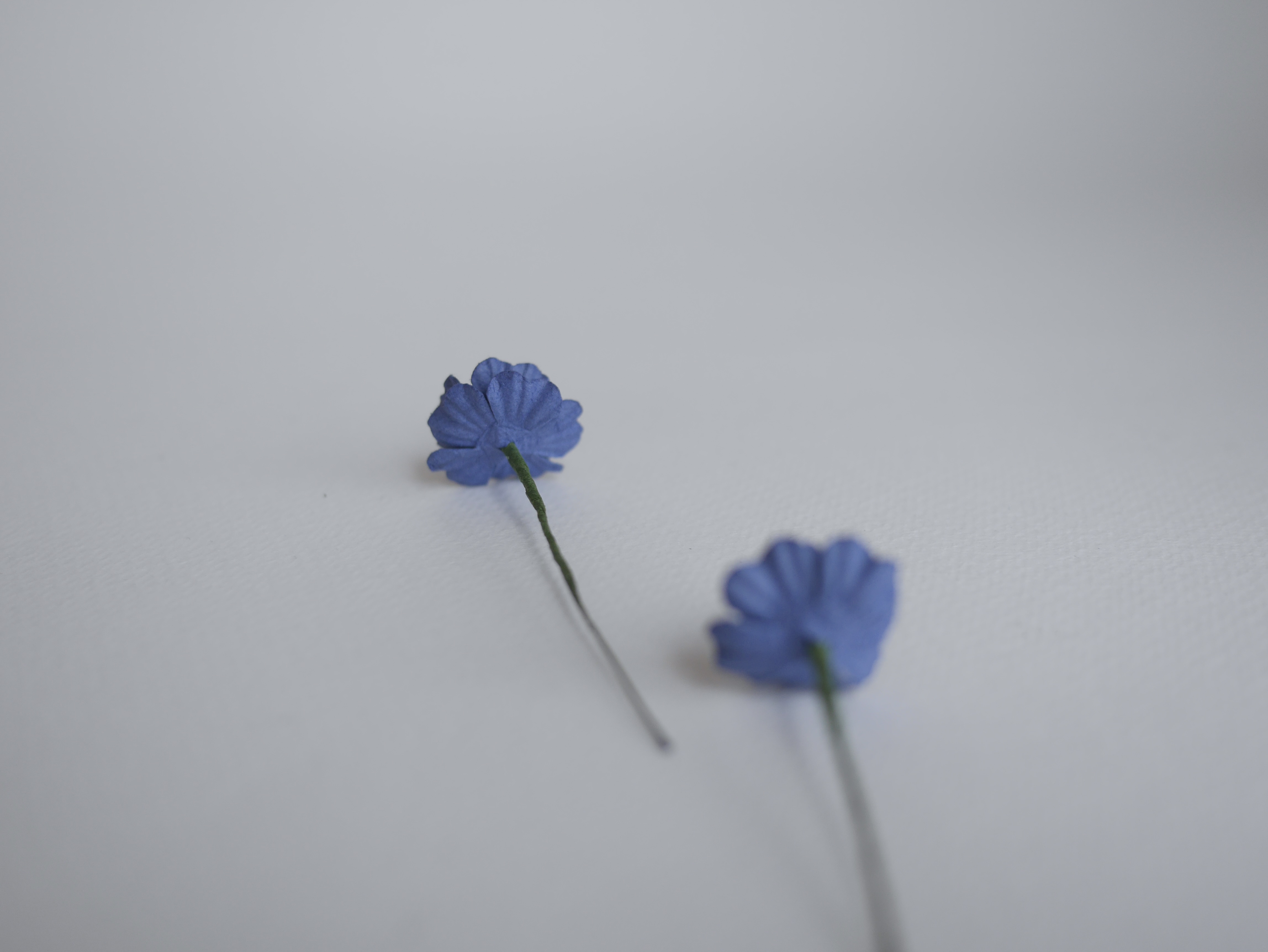 ดอกไม้กระดาษสา ดอกไม้กระดาษสา จตุจักร งานประดิษฐ์ ดอกไม้ทำข้อมือเพื่อนเจ้าสาว แต่งงาน ดอกไม้กระดาษ poppy สีน้ำเงินกรมท่า passion blue ขนาด 2.00 cm. จำนวน 50 ดอก