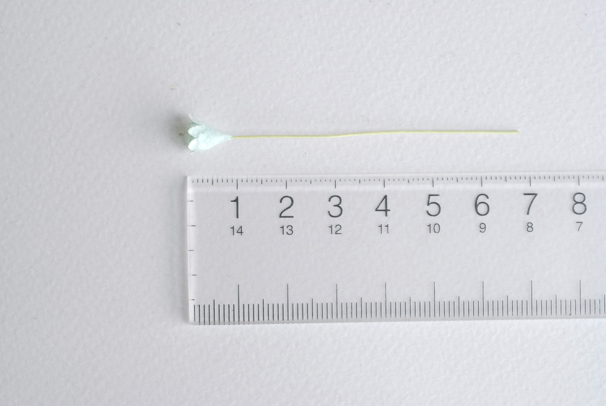 ดอกไม้ประดิษฐ์, ดอกไม้กระดาษสา, ดอก gypsophila, ดอกยิปโซ งานประดิษฐ์ตกแต่งของชำร่วย, ดอกไม้ทำพานพุ่ม, พานรับไหว้, ขนาด0.8 cm. สีมิ้น