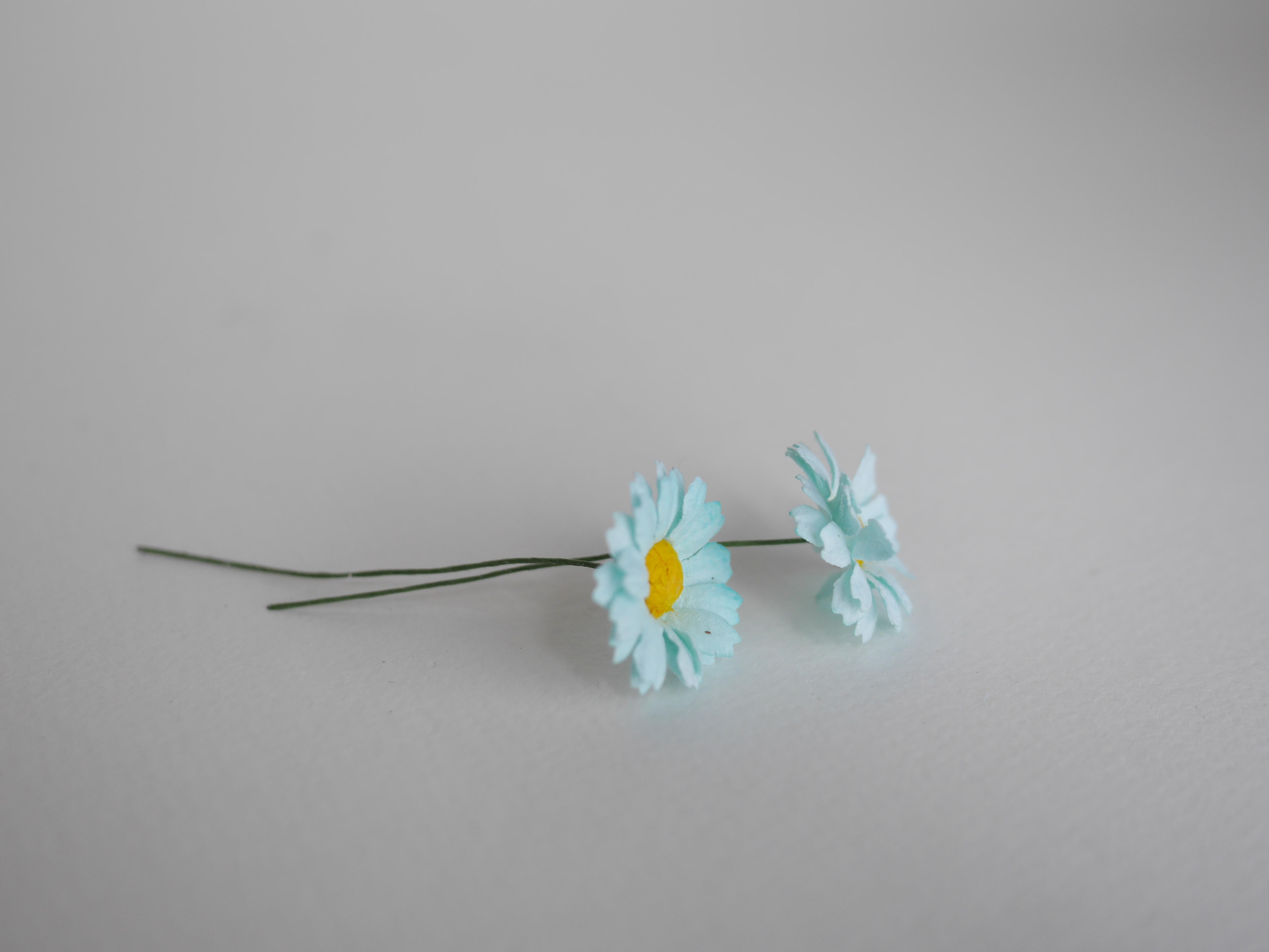 ดอกไม้กระดาษสา ดอกไม้ประดิษฐ์จากกระดาษสา ดอกเดซี่ เกสรสีทอง ดอกไม้กระดาษสาขายส่ง ดอกไม้ประดิษฐ์ ดอกไม้ทำข้อมือเพื่อนเจ้าสาว ดอก daisy ขนาด 3 cm. จำนวน 25 ดอก สีฟ้ามิ้นท์ Paper Flower, 25 Daisy Flowers, blue-sky mint color, size 3 cm., yellow pollen.