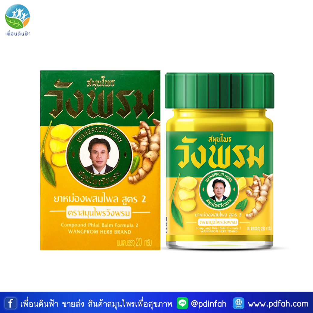 C06 วังพรม ยาหม่องไพล สูตรเย็น 20g. WANGPROM Compound Phlai Balm Formula 2 (ยาหม่องวังพรม)
