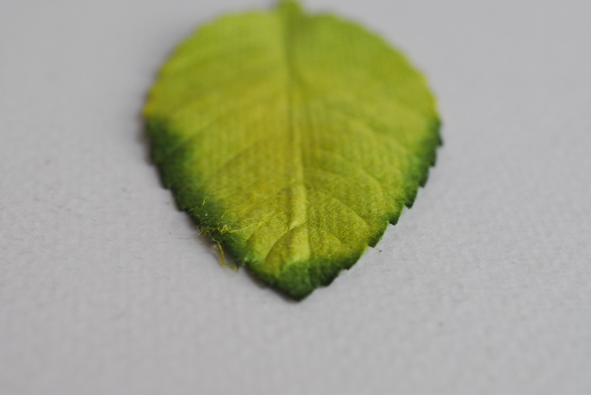 ใบไม้กระดาษ ใบไม้กระดาษสา ราคาส่ง,ใบไม่้กุหลาบกระดาษ สำหรับดอกกุหลาบกระดาษสา ใบไม้ประดิษฐ์ สำหรับตกแต่ง หรืองานแต่งงาน สีเขียวปัดเขียวเข้ม ขนาด6x4.5 cm. จำนวน 50 ใบ