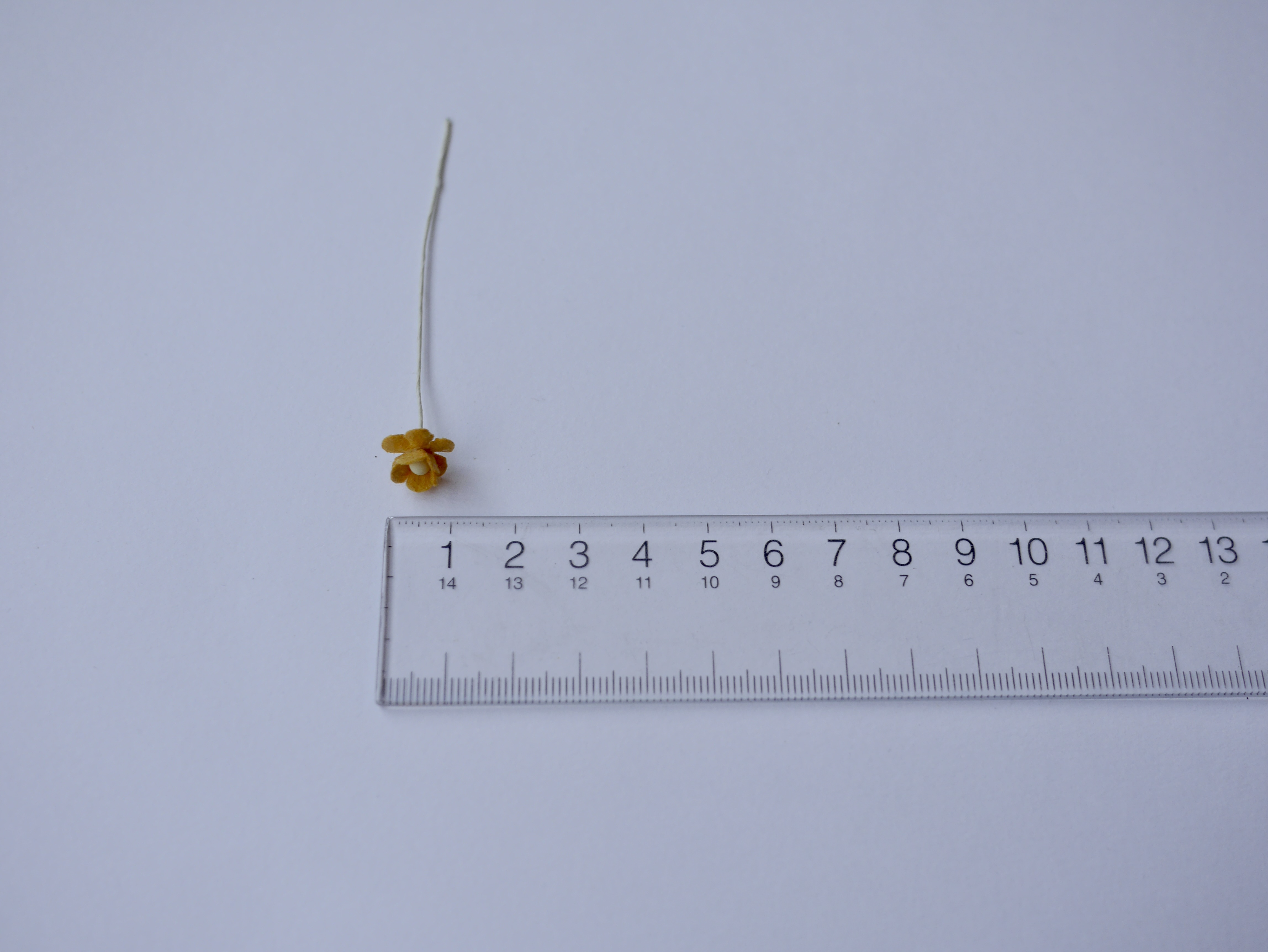 ดอกไม้กระดาษสา ดอกไม้กระดาษสาราคาส่ง ดอกไม้กระดาษสำหรับตกแต่ง งานแต่งงาน หรือติดของชำร่วย ดอก creeping lady 100 ดอก ขนาด 0.8 cm. สีน้ำตาลกากี Small Paper Flower with stem, 100 pcs., size 0.8 cm., creeping flowers 2 layers, khaki brown color.