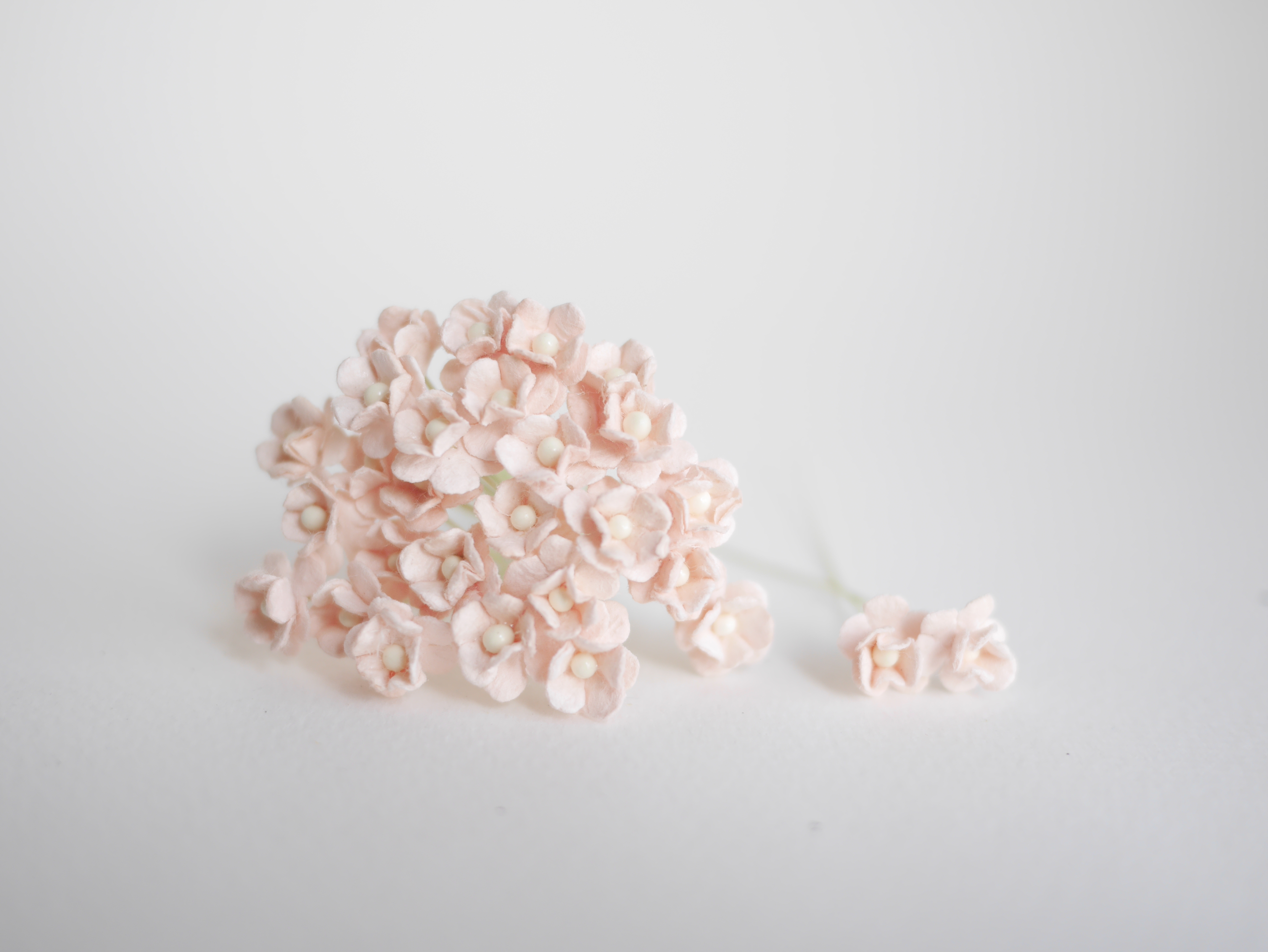 ดอกไม้กระดาษสา ดอกไม้กระดาษสาราคาส่ง ดอกไม้กระดาษสำหรับตกแต่ง งานแต่งงาน หรือติดของชำร่วย ดอก creeping lady 100 ดอก ขนาด 0.8 cm. สีชมพูพีชอ่อน Small Paper Flower with stem, 100 pcs., size 0.8 cm., creeping flowers 2 layers, pale pink color