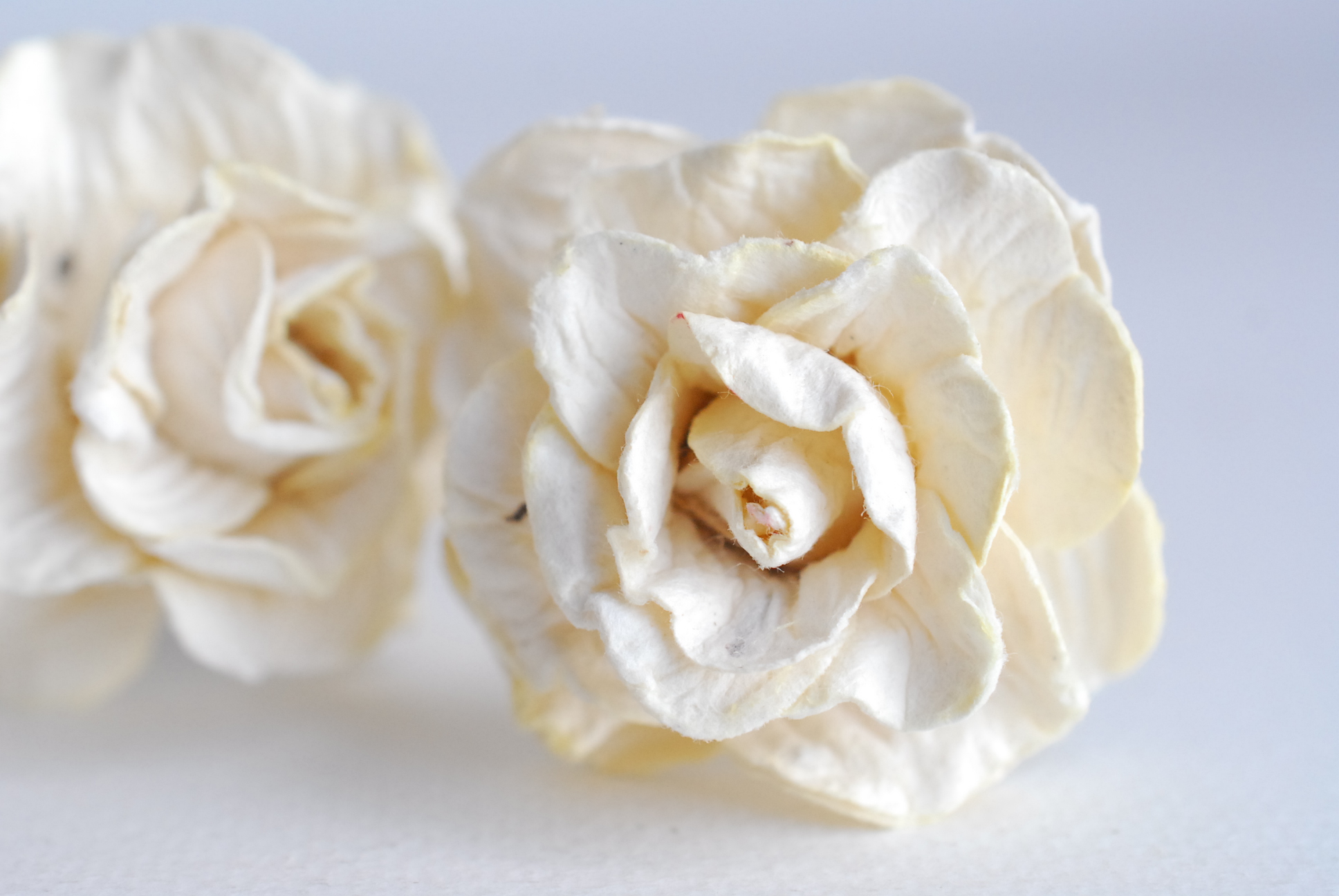 ดอกไม้ประดิษฐ์ ดอกไม้กระดาษสา ตกแต่งงานแต่งงาน งานแต่งงาน ดอกไม้ทำมงกุฎ ดอกกุหลาบขนาด 4 cm. 25ดอก กลีบบิด สีครีม Ivory color