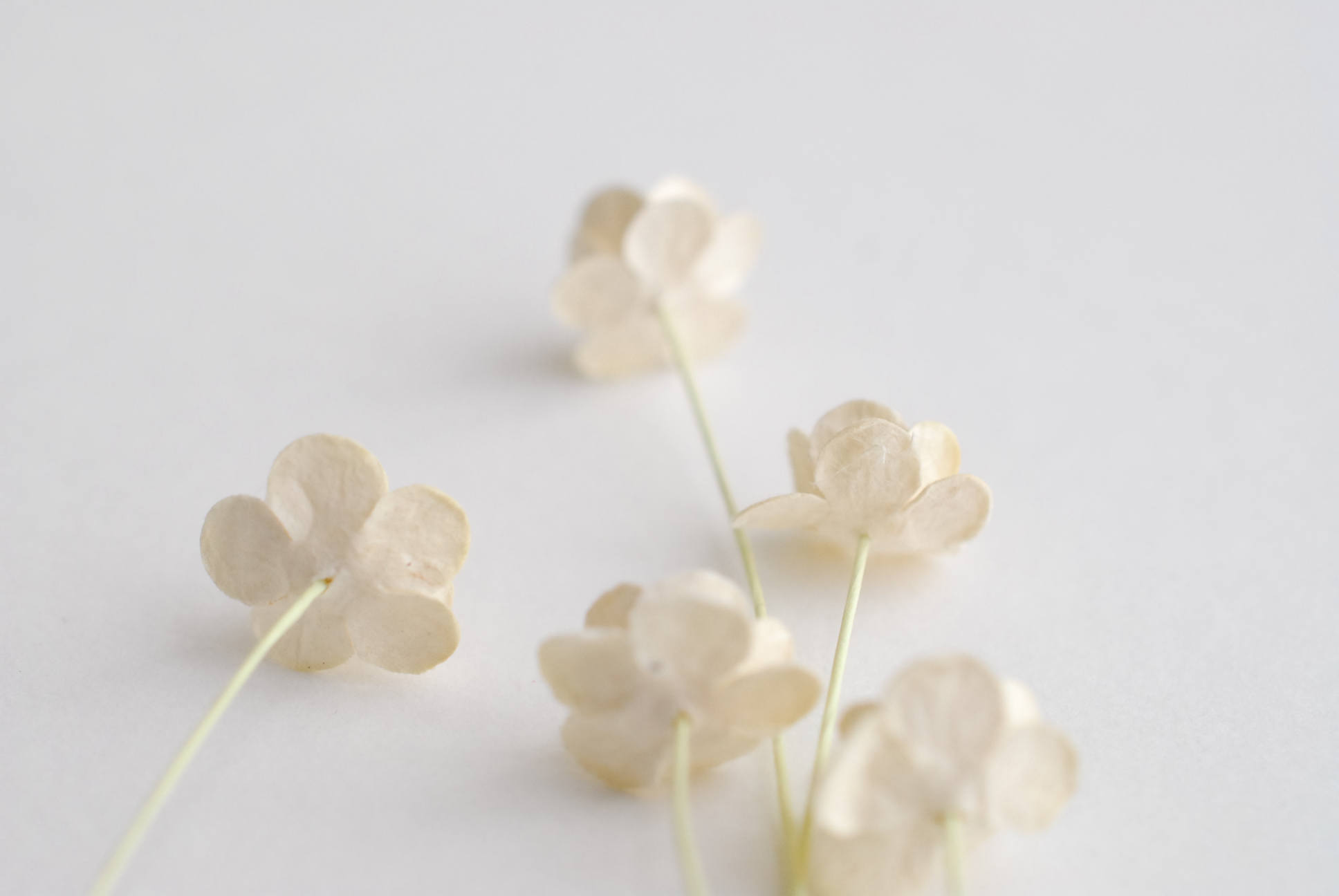 ดอกไม้กระดาษสา ราคาส่ง, ดอกไฮเดรนเยียกระดาษสา ดอกไม้ประดิษฐ์ ตกแต่งงานแต่งงาน ประดิษฐ์ข้อมือ เพื่อนเจ้าสาว ขนาด 1.5 cm., สำหรับของชำร่วย, งานแต่งงาน, ดอกไม้ทำข้อมือเจ้าสาว สีงาช้าง จำนวน 100 ดอก Paper flower,100 Pieces mulberry hydenyia, ivory color