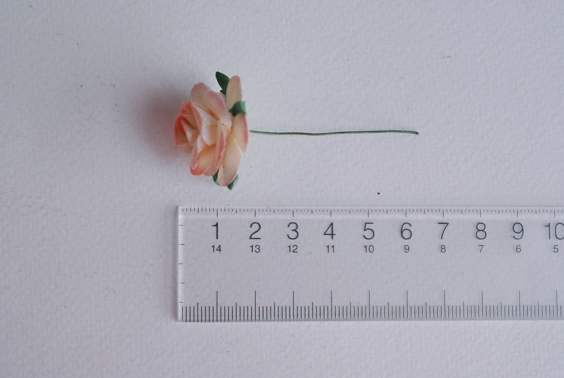 ดอกไม้กระดาษสา ดอกไม้กุหลาบกระดาษ ราคาส่ง, ดอกกุหลาบจิ๋ว ดอกกุหลาบกระดาษสา ดอกไม้ประดิษฐ์ สำหรับตกแต่งของชำร่วย หรืองานแต่งงาน สีpeachอ่อน (light peach brush) ปัดขาวขนาด 2.5 cm. จำนวน 50 ดอก