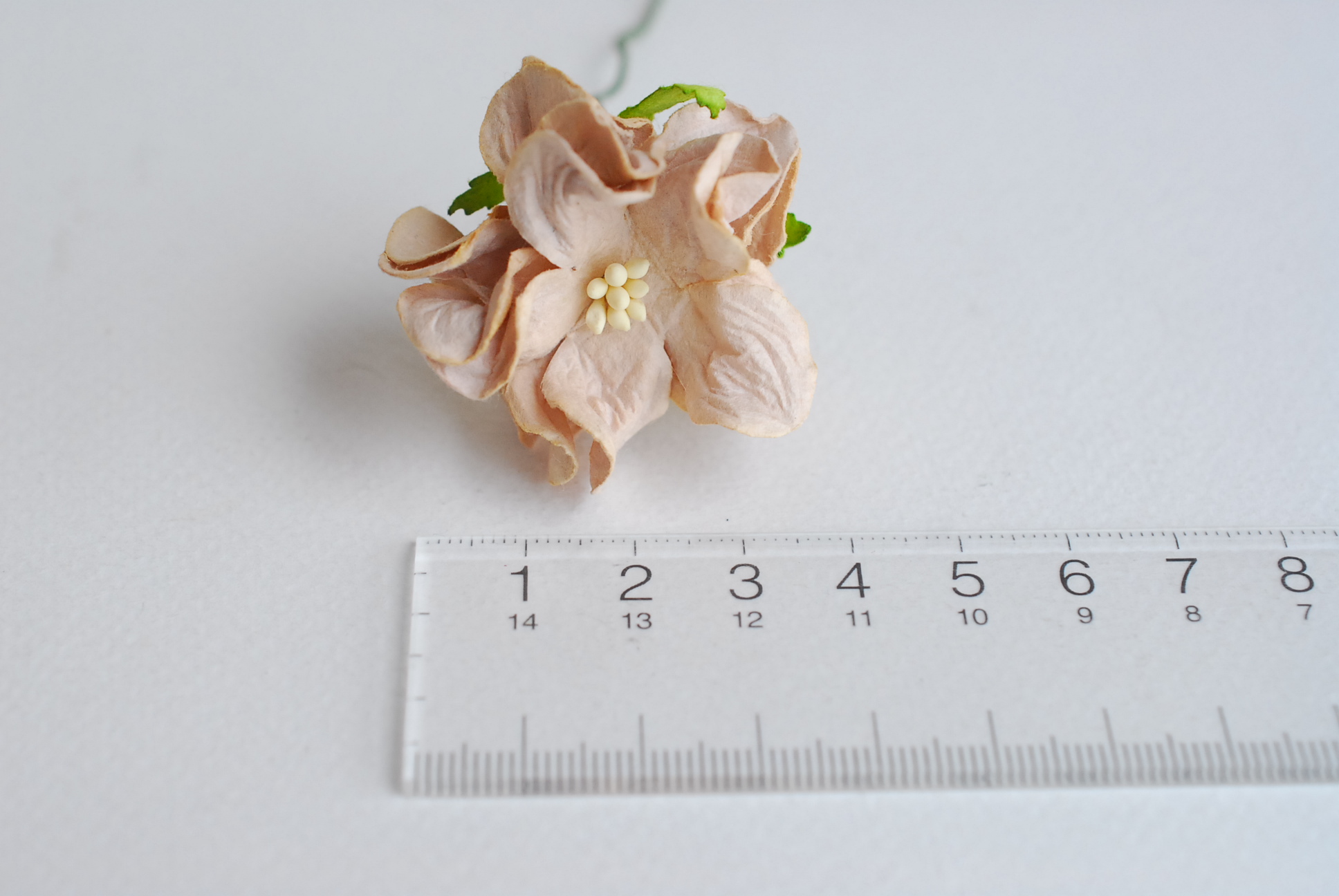 ดอกไม้กระดาษสา ราคาส่ง, ดอกการเดนเนียกระดาษสา ดอกไม้ประดิษฐ์ ตกแต่งงานแต่งงาน ประดิษฐ์ข้อมือเพื่อนเจ้าสาว ขนาด 3.5 cm., สำหรับของชำร่วย, งานแต่งงาน, ดอกไม้ทำข้อมือเจ้าสาว สีน้ำตาล จำนวน 25 ดอก Paper flower,25 Pieces mulberry gardenia flowers supplies, bro