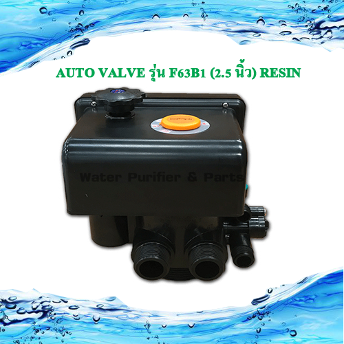 ตัวควบคุม คอนโทรลวาล์ว Auto Valve รุ่น F63B1 (2.5 นิ้ว) Resin