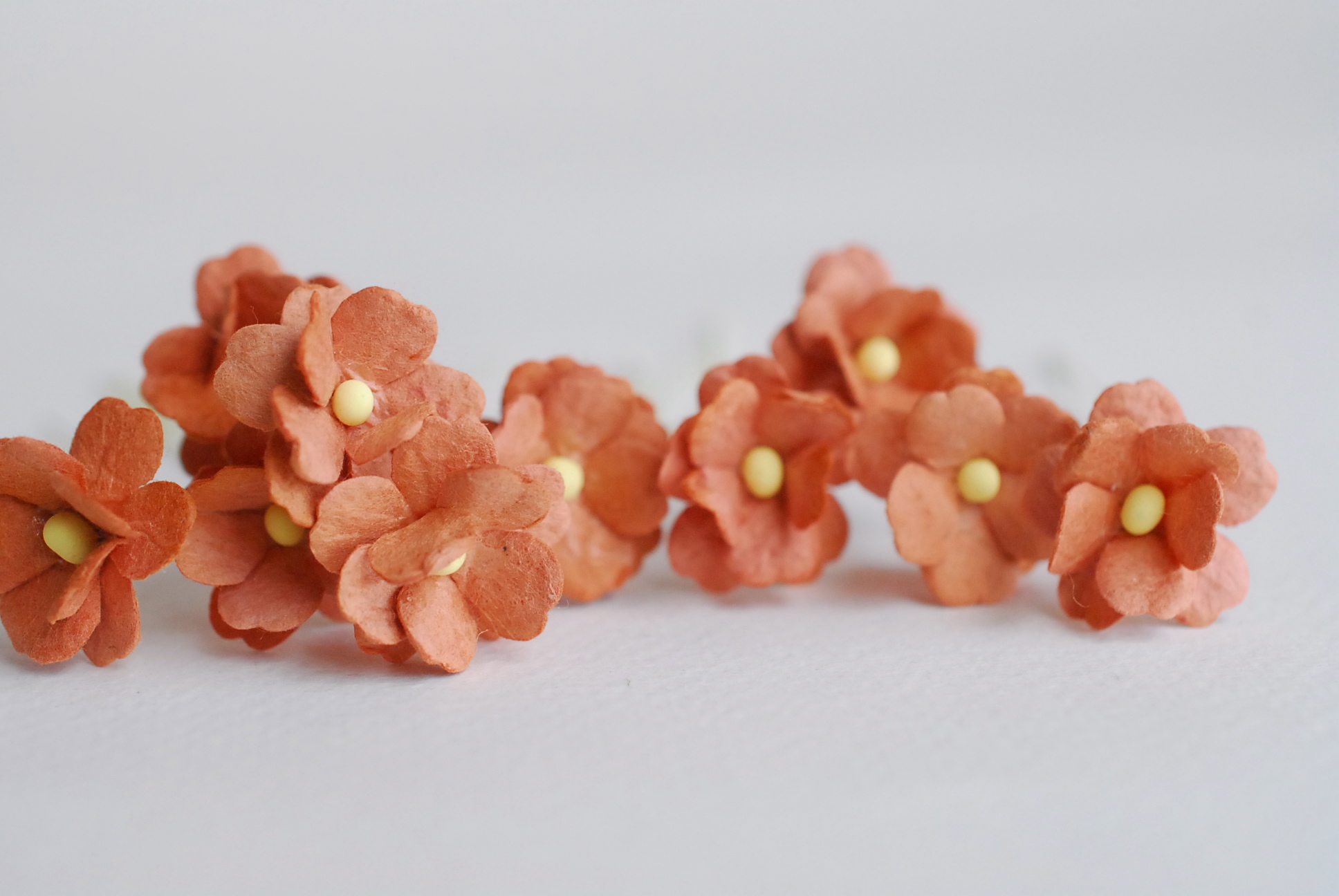 ดอกไม้กระดาษสา ราคาส่ง, ดอกไฮเดรนเยียกระดาษสา ดอกไม้ประดิษฐ์ ตกแต่งงานแต่งงาน ประดิษฐ์ข้อมือเพื่อนเจ้าสาว ขนา่ด 1.5 cm., สำหรับของชำร่วย, งานแต่งงาน, ดอกไม้ทำข้อมือเจ้าสาว สีน้ำตาล จำนวน 100 ดอก Paper flower,100 Pieces mulberry hydenyia brown color