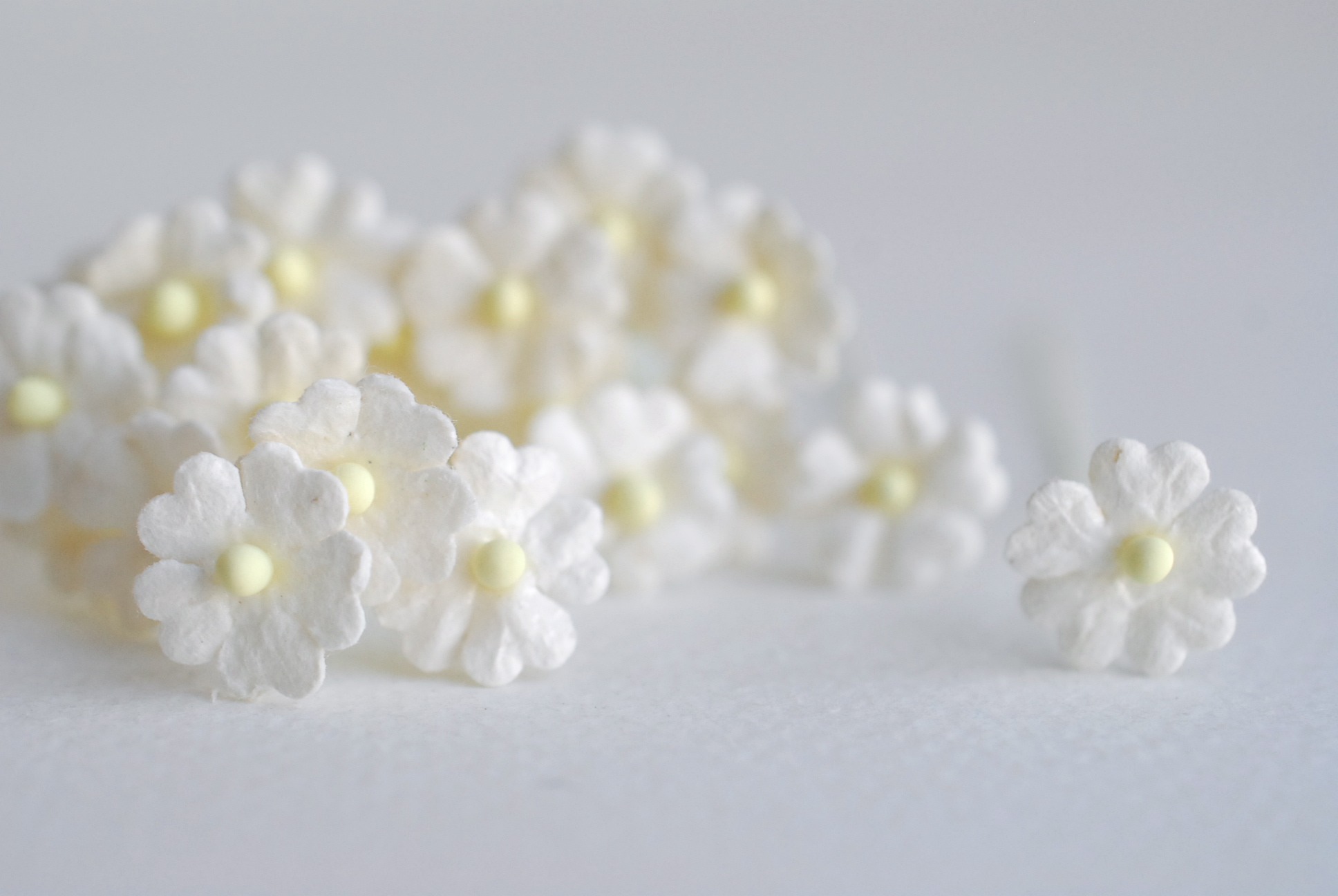 ดอกไม้กระดาษสา ดอกไม้กระดาษสาราคาส่ง ดอกไม้กระดาษสำหรับตกแต่ง งานแต่งงาน หรือติดของชำร่วย ดอกไม้จิ๋ว 100 ดอก ขนาด 1 cm. สีขาว of-white Small Paper Flower with stem, , 100 pcs., size 1 cm., small creeping ladies flowers 1 layer, of-white color.