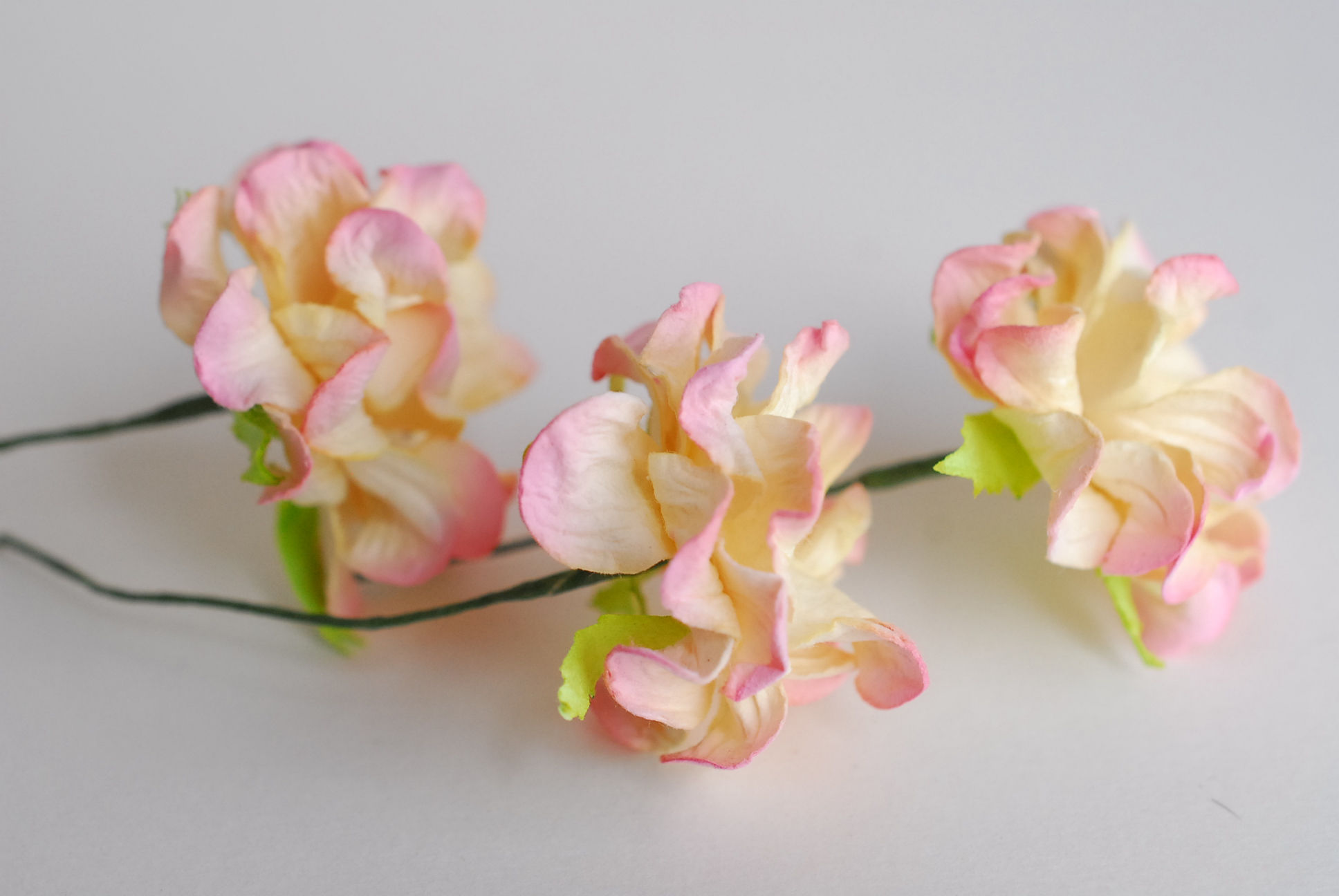 ดอกไม้กระดาษสา ราคาส่ง, ดอกการเดนเนียกระดาษสา ดอกไม้ประดิษฐ์ ตกแต่งงานแต่งงาน ประดิษฐ์ข้อมือเพื่อนเจ้าสาว ขนาด 3.5 cm., สำหรับของชำร่วย, งานแต่งงาน, ดอกไม้ทำข้อมือเจ้าสาว สีชมพูปัดครีม จำนวน 25 ดอก Paper flower, 25 Pieces mulberry gardenia flowers supplie