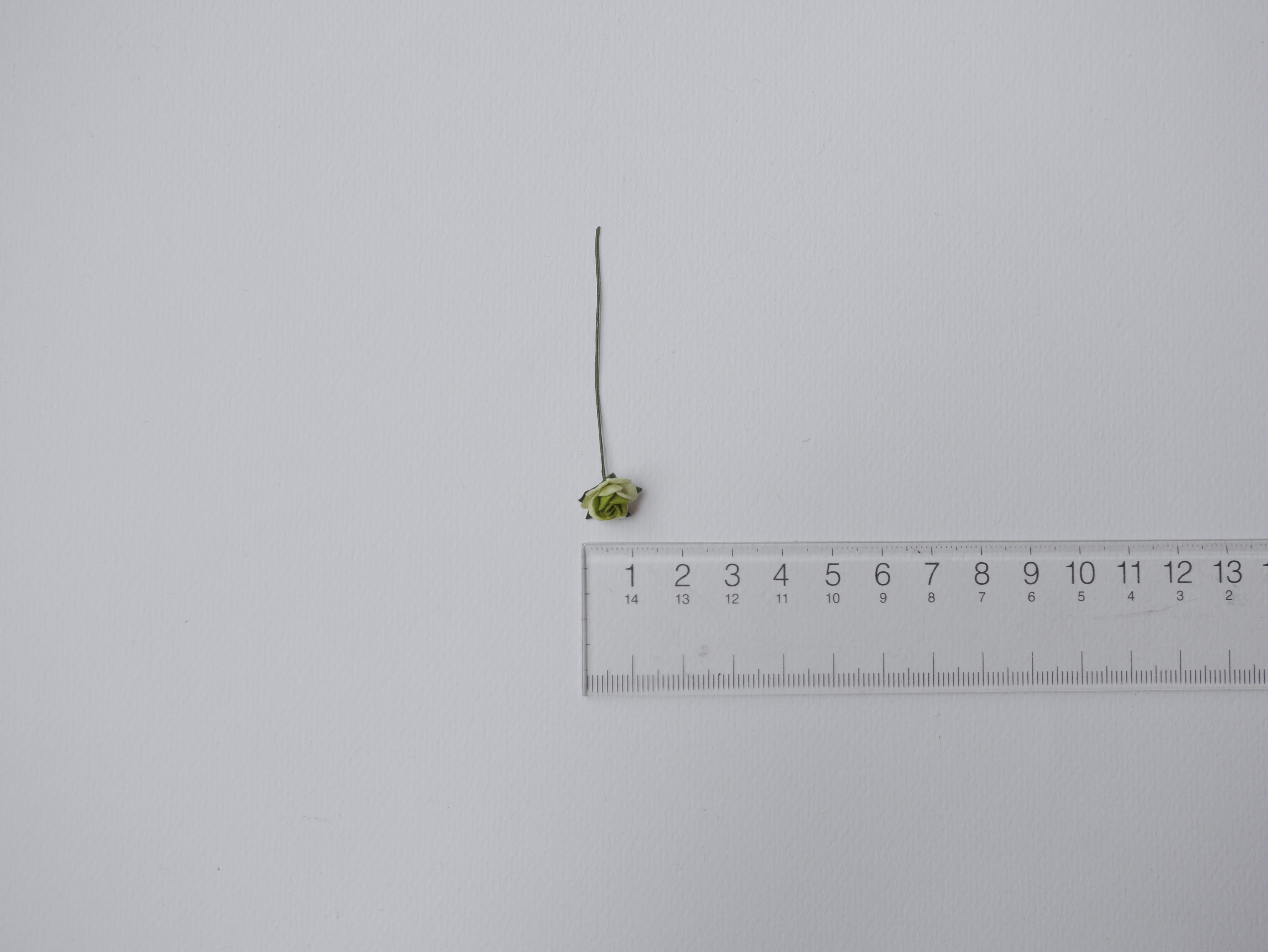 ดอกไม้กระดาษสาสำหรับตกแต่ง ของชำร่วย ดอกกุหลาบกระดาษสา ดอกไม้จิ๋ว สีเขียวอ่อน เขียวเข้ม two-tone ขนาด 0.8 cm. จำนวน 100 ดอก/1 ถุง