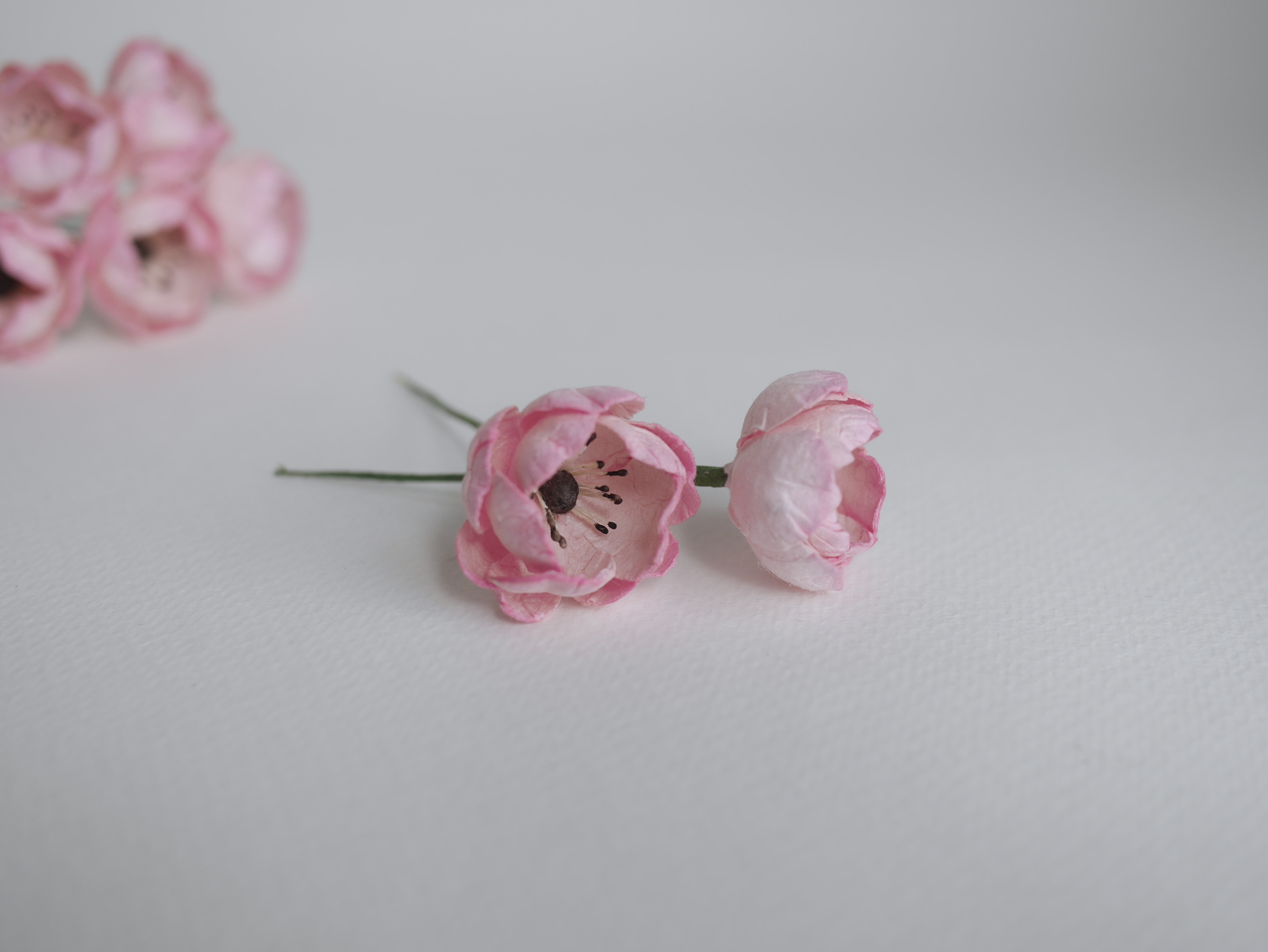 ดอกกุหลาบกระดาษสา peony ดอกไม้กระดาษสาราคาส่ง, ดอกไม้กระดาษ,ดอกไม้ประดิษฐ์ สำหรับตกแต่งของชำร่วย งานแต่งงาน ดอกกุหลาบกลม peony ขนาด 3.5 cm. จำนวน 25 ดอก, สีชมพูปัดสีขาว เกสรสีดำ Paper Flowers, Peony flowers supplies size 3.5cm./ 25 pieces, handmade flower