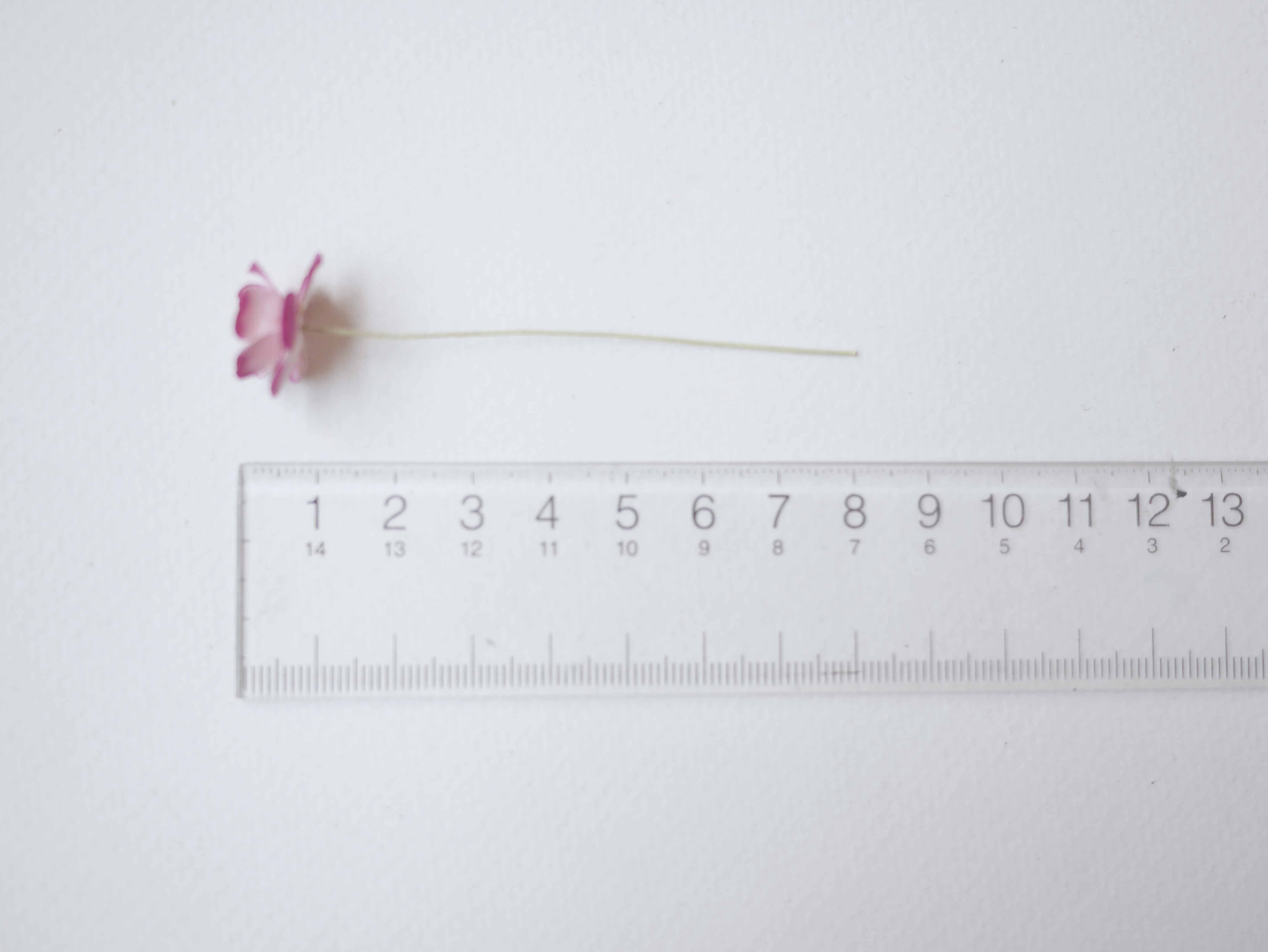 ดอกไม้กระดาษสา ราคาส่ง, ดอกไฮเดรนเยียกระดาษสา ดอกไม้ประดิษฐ์ ตกแต่งงานแต่งงาน ประดิษฐ์ข้อมือเพื่อนเจ้าสาว ขนาด 1.5 cm., สำหรับของชำร่วย, งานแต่งงาน, ดอกไม้ทำข้อมือเจ้าสาว สีบานเย็นปัด magenta brush pink จำนวน 100 ดอก Paper flower,100 Pieces mulberry hyden