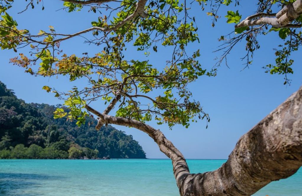 ทัวร์เกาะสุรินทร์ 1 วัน เรือสปีดโบ๊ท Surin Islands Day trip by Speedboat