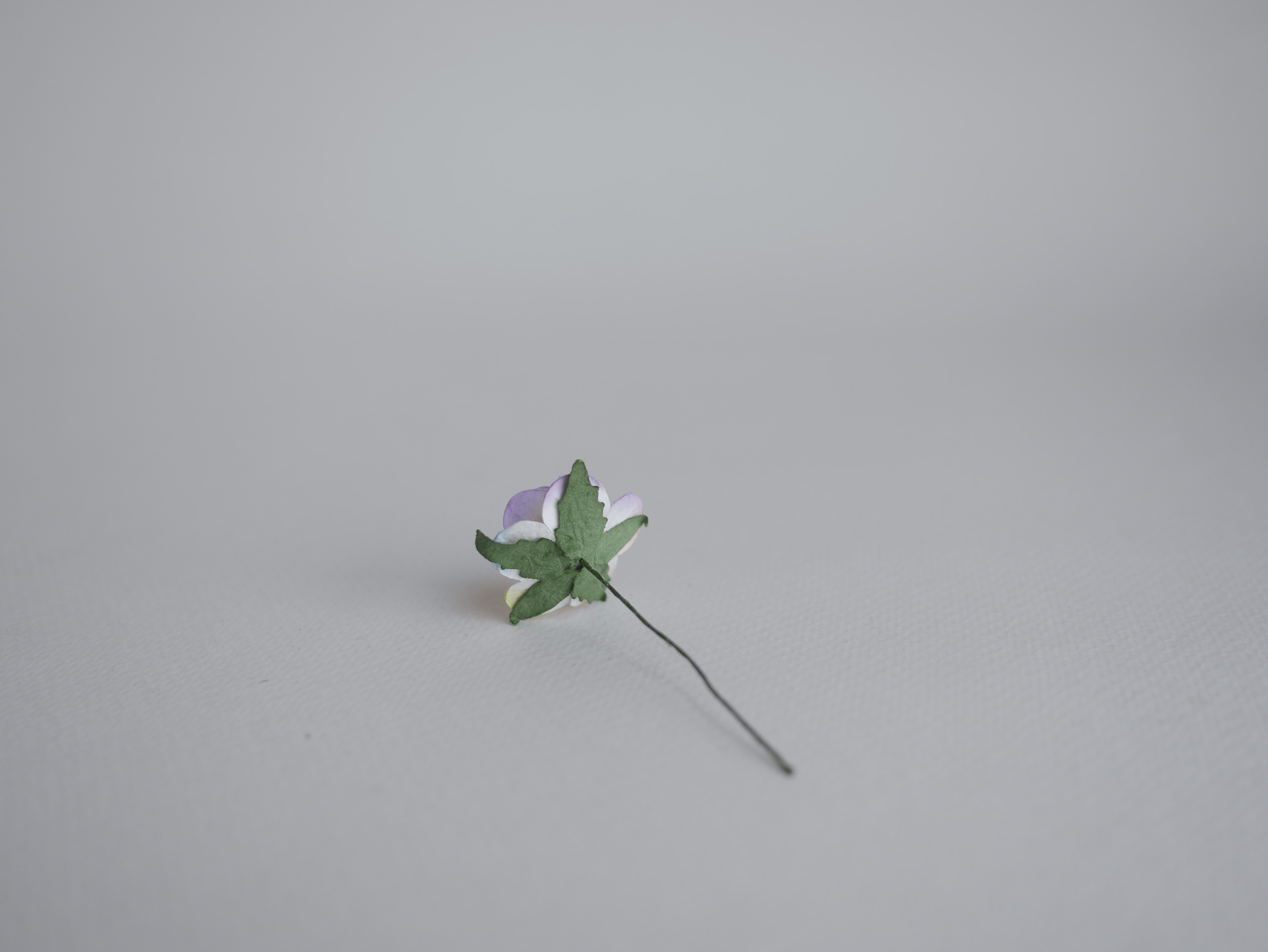 ดอกไม้กระดาษ ดอกไม้กระดาษสา ราคาส่ง,ดอกไม้กุหลาบกระดาษ ดอกกุหลาบกระดาษสา ดอกไม้ประดิษฐ์ สำหรับตกแต่ง หรืองานแต่งงาน สี rainbow ขนาด 2.5 cm. จำนวน 50 ดอก