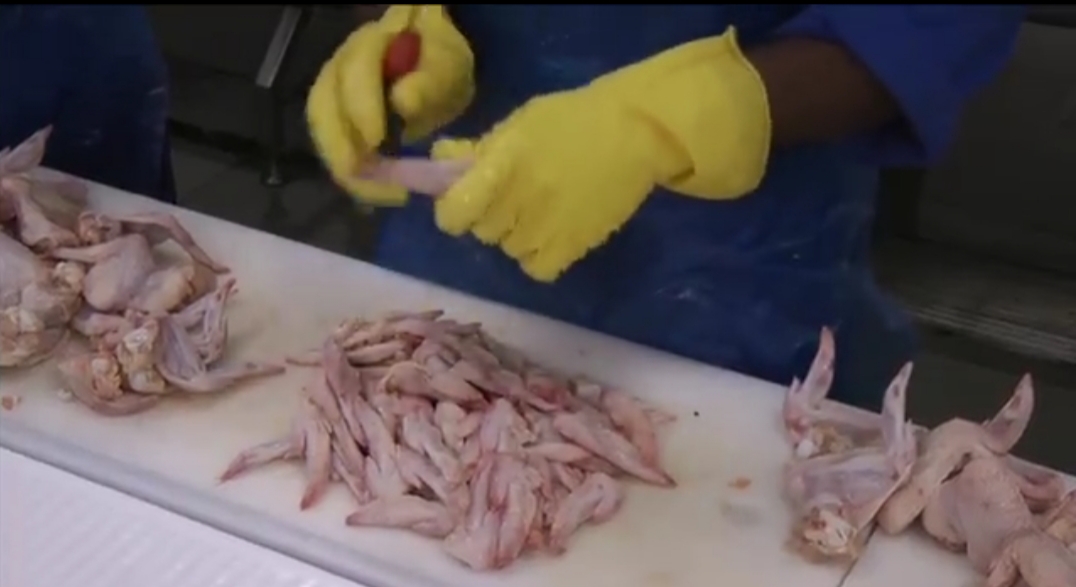 [ยกโหล 12 คู่] HHG04 ถุงมือแม่บ้าน ยาว 12 นิ้ว บรรจุ ฝ่ามือหยาบแบบรังผึ้ง มีซับใน