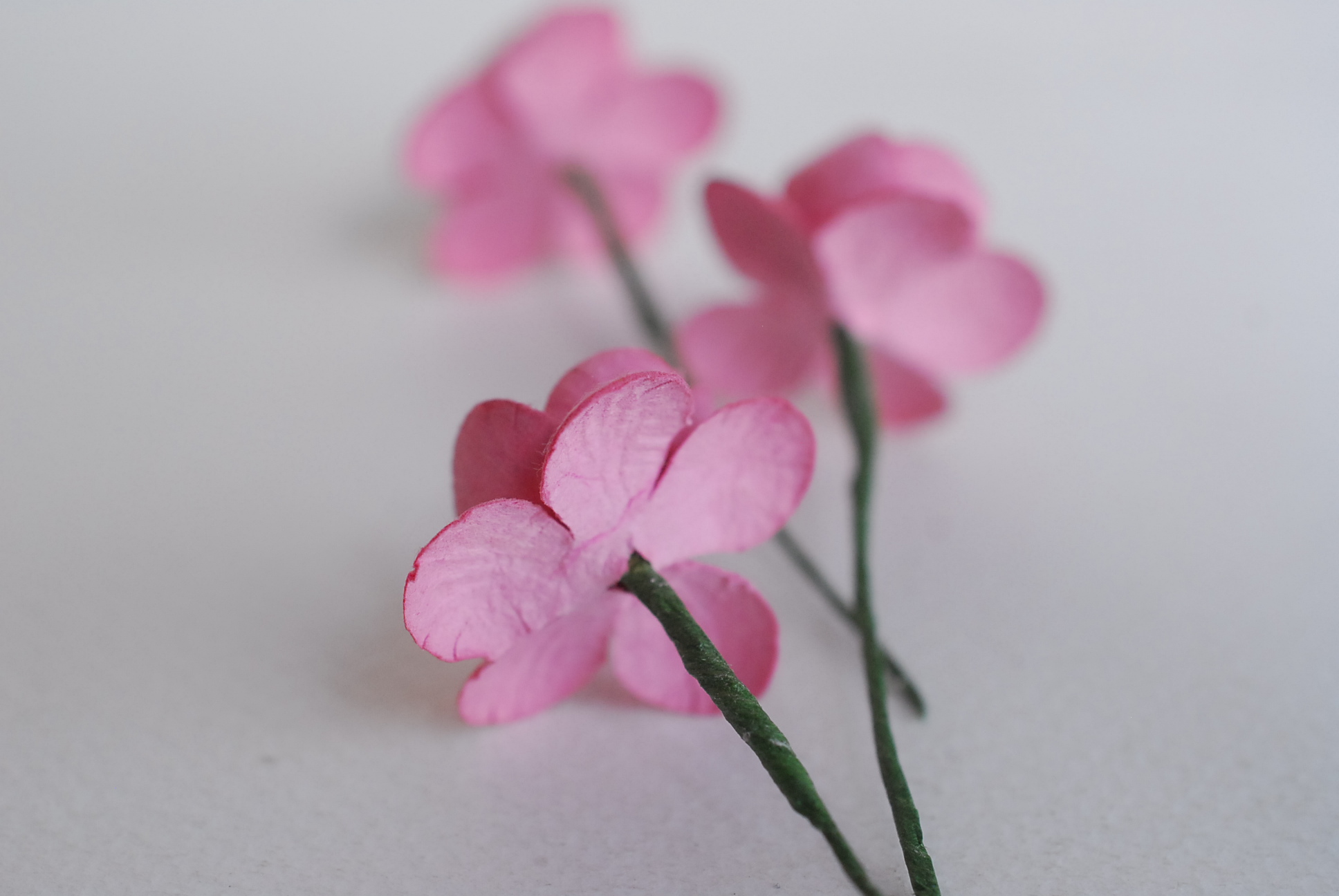 ดอกไม้กระดาษสา ดอกซากุระกระดาษ ดอกโบตั๋น ดอกไม้กระดาษสาราคาส่ง ดอกไม้กระดาษสำหรับตกแต่งของชำร่วย งานแต่งงาน ทำช่อดอกไม้ติดอกเจ้าบ่าว ข้อมือดอกไม้เจ้าสาว ขนาด2.5 cm. 50 ดอก Paper flowers supplies: DIY wedding tools Cherry blossom (Sakura) 50 pcs. size 2.5