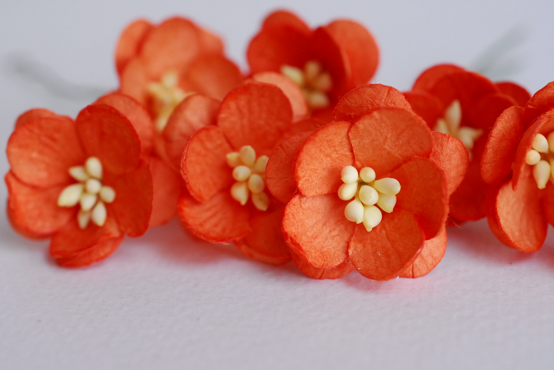 ดอกไม้กระดาษสา ดอกซากุระกระดาษสีส้ม ดอกไม้กระดาษสาราคาส่ง ดอกไม้กระดาษสำหรับตกแต่งของชำร่วย งานแต่งงาน ทำช่อดอกไม้ติดอกเจ้าบ่าว ข้อมือดอกไม้เจ้าสาว ขนาด2.5 cm. 50 ดอก Paper flowers supplies: DIY wedding tools Cherry blossom (Sakura) 50 pcs. size 2.5 cm.