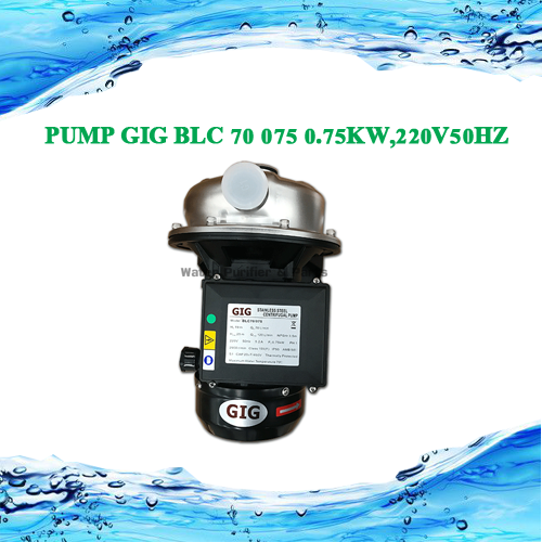 PUMP GIG BLC 70 075 0.75KW,220V50HZ