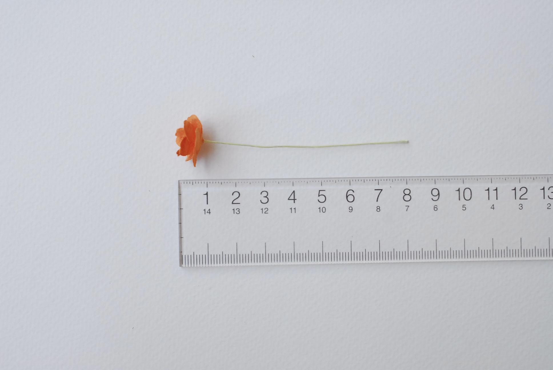 ดอกไม้กระดาษสา ราคาส่ง, ดอกไฮเดรนเยียกระดาษสา ดอกไม้ประดิษฐ์ ตกแต่งงานแต่งงาน ประดิษฐ์ข้อมือเพื่อนเจ้าสาว ขนาด 1.5 cm., สำหรับของชำร่วย, งานแต่งงาน, ดอกไม้ทำข้อมือเจ้าสาว สีส้ม จำนวน 100 ดอก Paper flower,100 Pieces mulberry hydenyia orange color