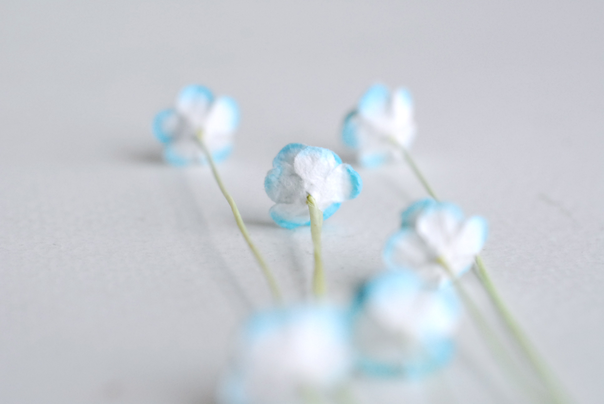 ดอกไม้กระดาษสา ดอกไม้กระดาษสาราคาส่ง ดอกไม้กระดาษสำหรับตกแต่ง งานแต่งงาน หรือติดของชำร่วย ดอก creeping lady 100 ดอก ขนาด 0.8 cm. สีฟ้าอ่อนปัดขาว Small Paper Flower with stem, , 100 pcs., size 0.8 cm., creeping flowers 2 layers, blue sky brush color.