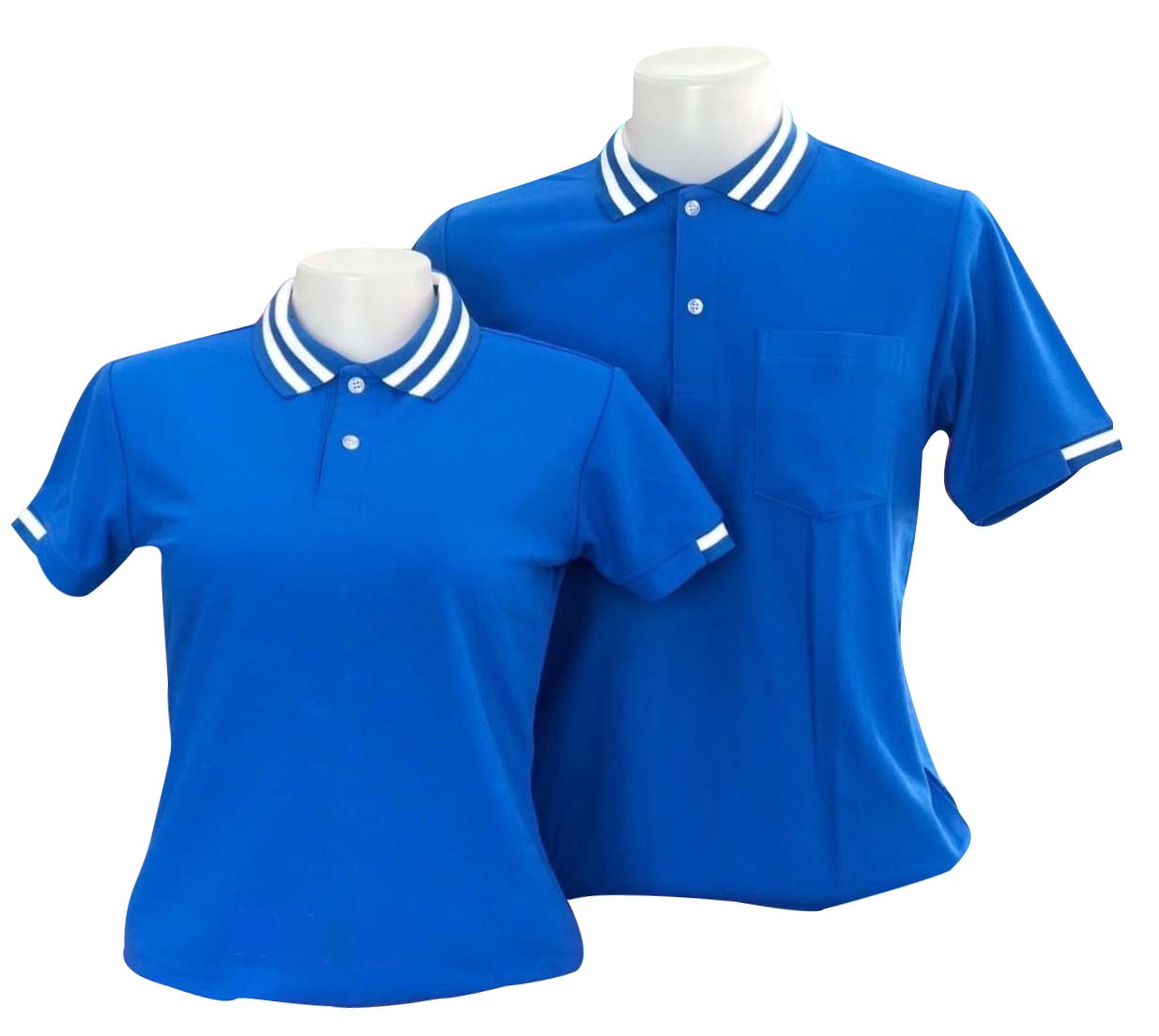 เสื้อโปโล สีน้ำเงินฟ้า ปก แขน ทอลายเส้นสีขาว ราคาส่ง