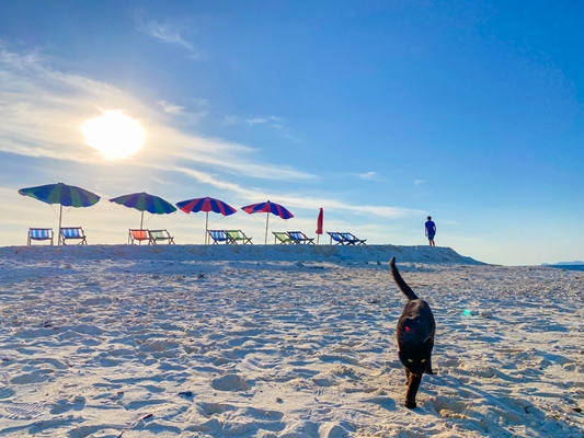อันดับ 1 ทัวร์เกาะพีพี อ่าวมาหยา อ่าวปิเละ เกาะไข่ เรือสปีดโบ๊ท Phi Phi Island Khai Island - Maya Bay - Pileh Lagoon