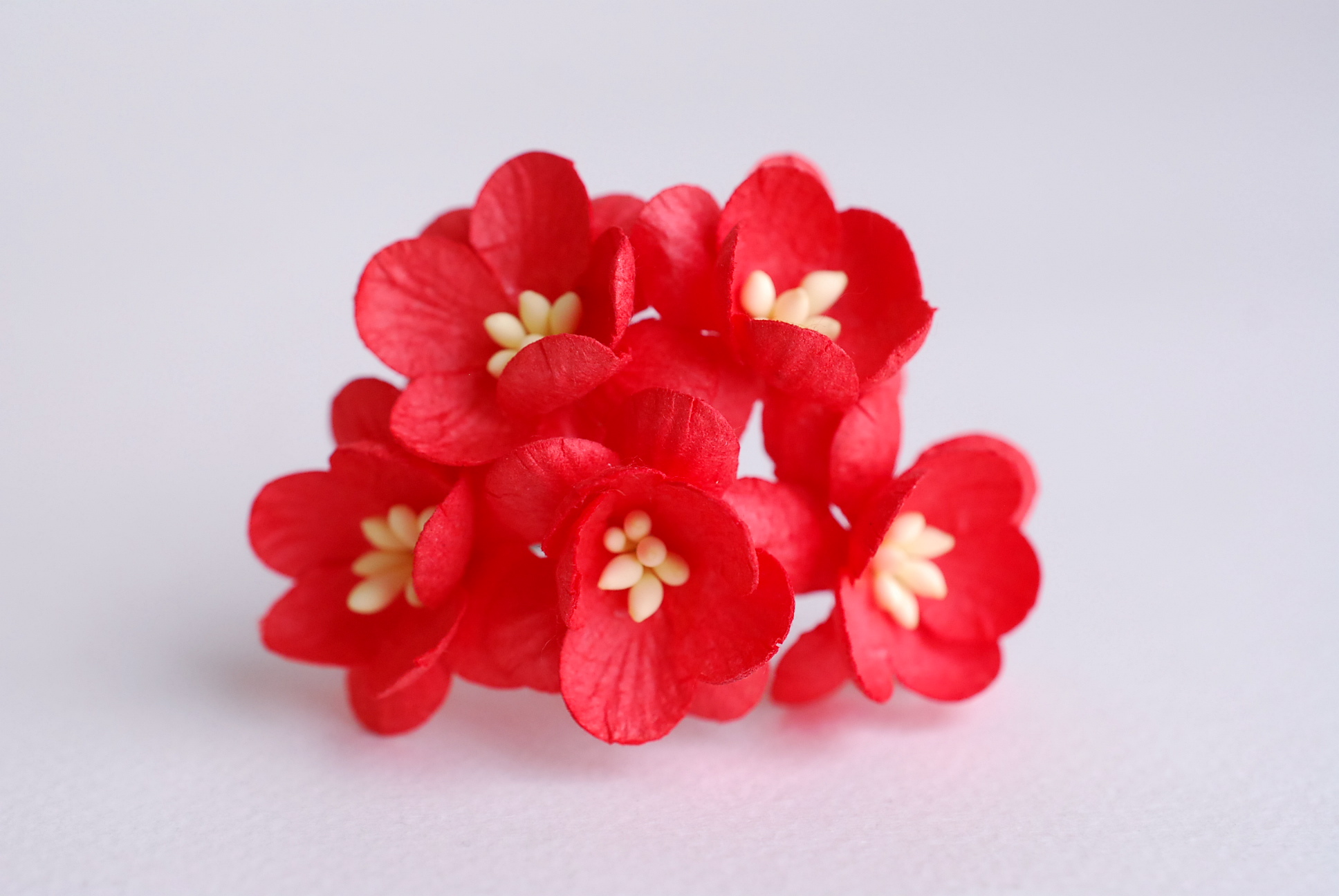 ดอกไม้กระดาษสา ดอกซากุระกระดาษ ดอกไม้กระดาษสาราคาส่ง ดอกไม้กระดาษสำหรับตกแต่งของชำร่วย งานแต่งงาน ทำช่อดอกไม้ติดอกเจ้าบ่าว ข้อมือดอกไม้เจ้าสาว ขนาด2.5 cm. 50 ดอก Paper flowers supplies: DIY wedding tools Cherry blossom (Sakura) 50 pcs. size 2.5 cm. สีแดง