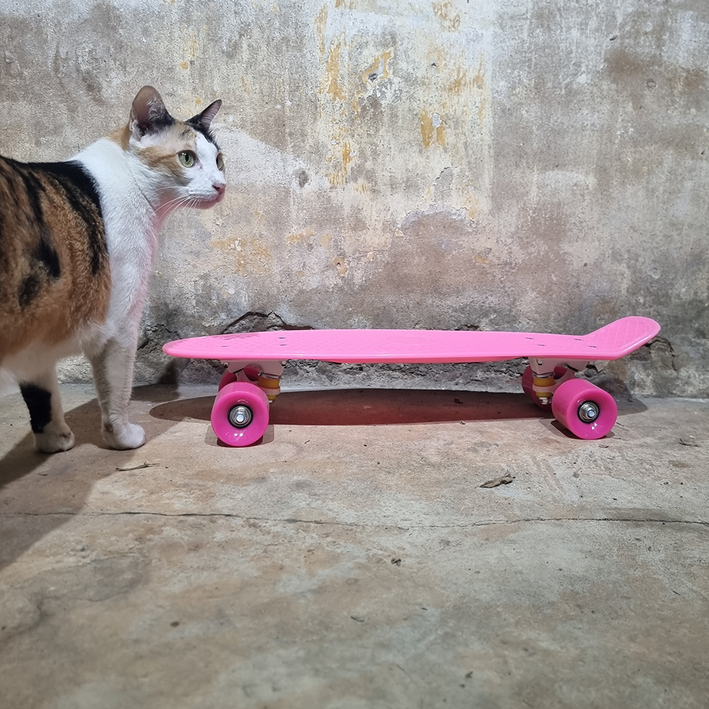 0202 Kid Skateboard ทรงเพนนี ล้อมีไฟ เลือกได้8สี น้ำหนักไม่เกิน 100kg