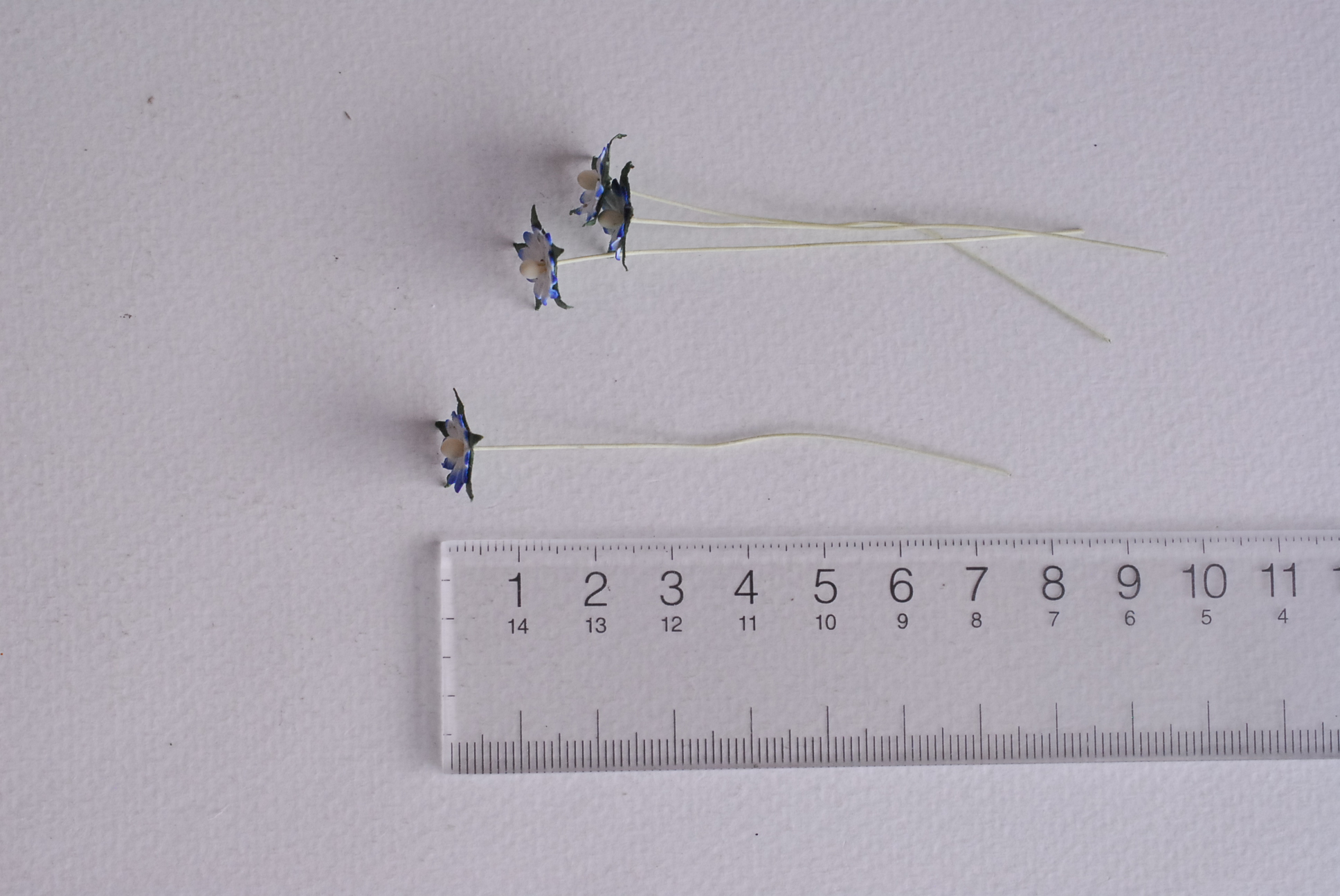 ดอกไม้กระดาษสา ดอกไม้กระดาษสาราคาส่ง ดอกไม้กระดาษสำหรับตกแต่ง งานแต่งงาน หรือติดของชำร่วย ดอกเดซี่ 100 ดอก ขนาด 0.8 cm. สีน้ำเงินปัดขาว Small Paper Flower with stem, 100 pcs., size 0.8 cm., daisy flowers 2 layers, blue brush white color.