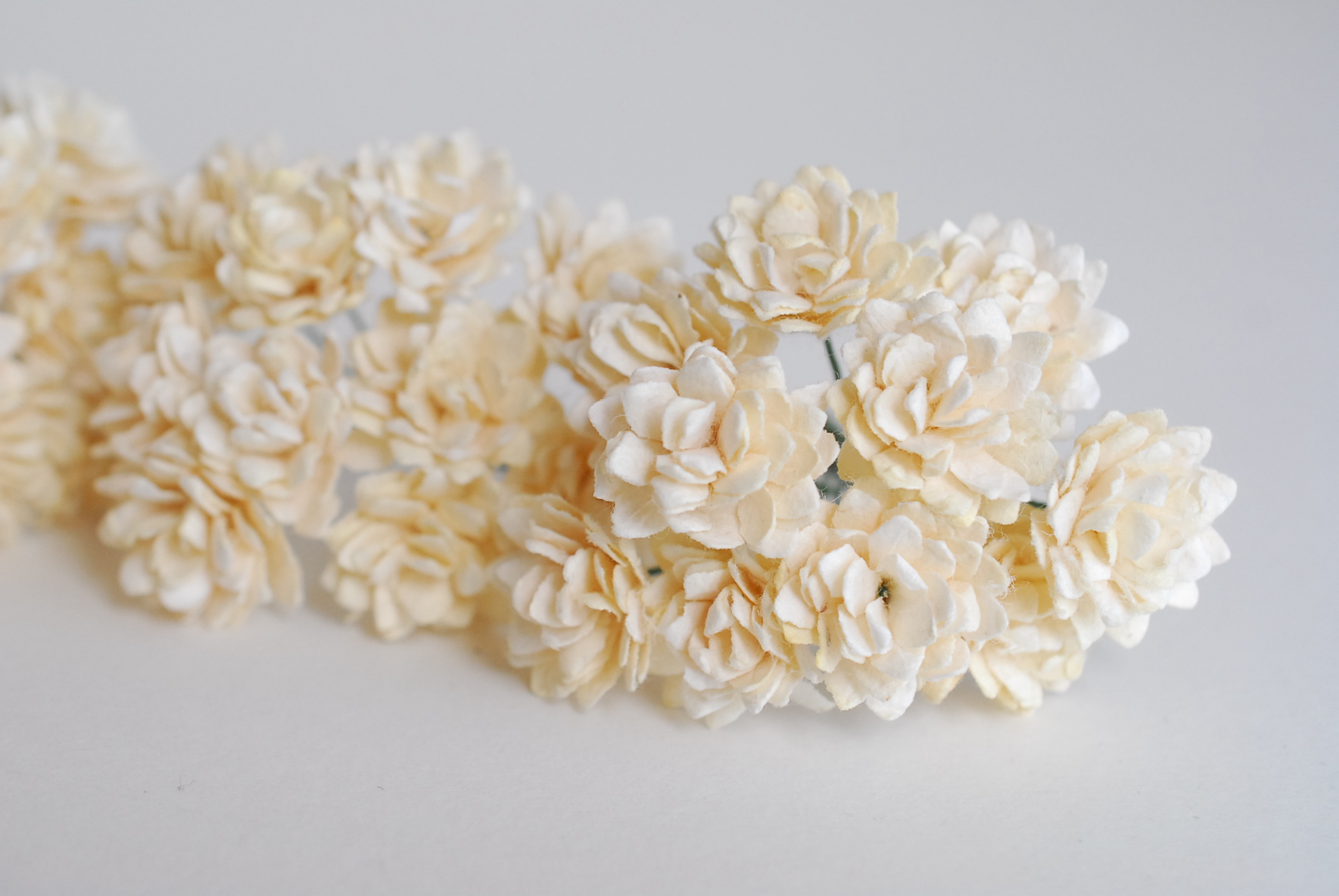 ดอกไม้ประดิษฐ์, ดอกไม้กระดาษสา, ดอก gypsophila, ดอกยิปโซ งานประดิษฐ์ตกแต่งของชำร่วย, ดอกไม้ทำพานพุ่ม,พานพวงมาลัย, พานรับไหว้, ขนาด 2 cm. สีครีม