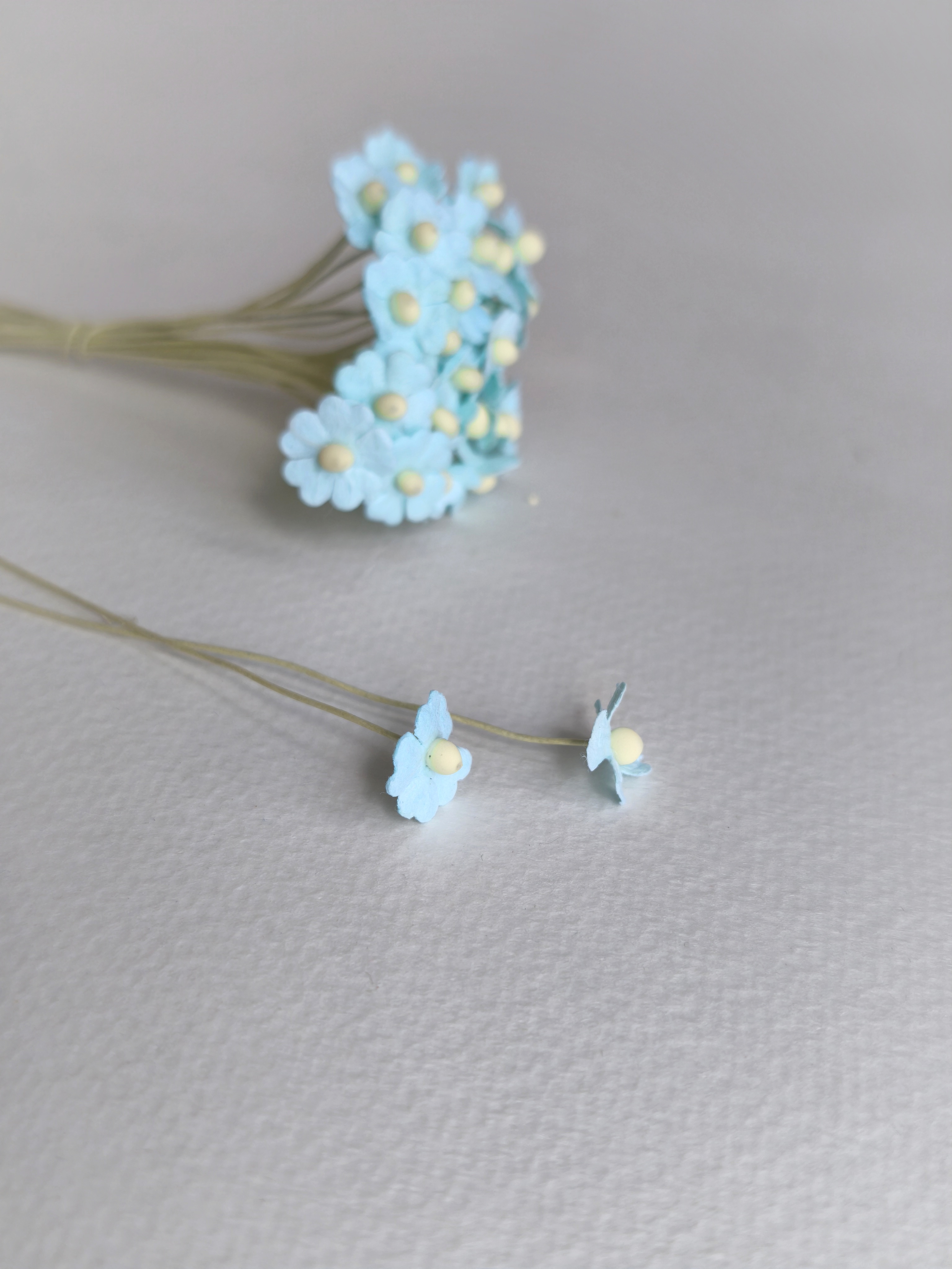 ดอกไม้กระดาษสา ดอกไม้กระดาษสาราคาส่ง ดอกไม้กระดาษสำหรับตกแต่ง งานแต่งงาน หรือติดของชำร่วย ดอกไม้จิ๋ว 100 ดอก ขนาด 1 cm. สีฟ้า Small Paper Flower with stem, 100 pcs., size 1 cm., small creeping ladies flowers 1 layer, blue-sky color.