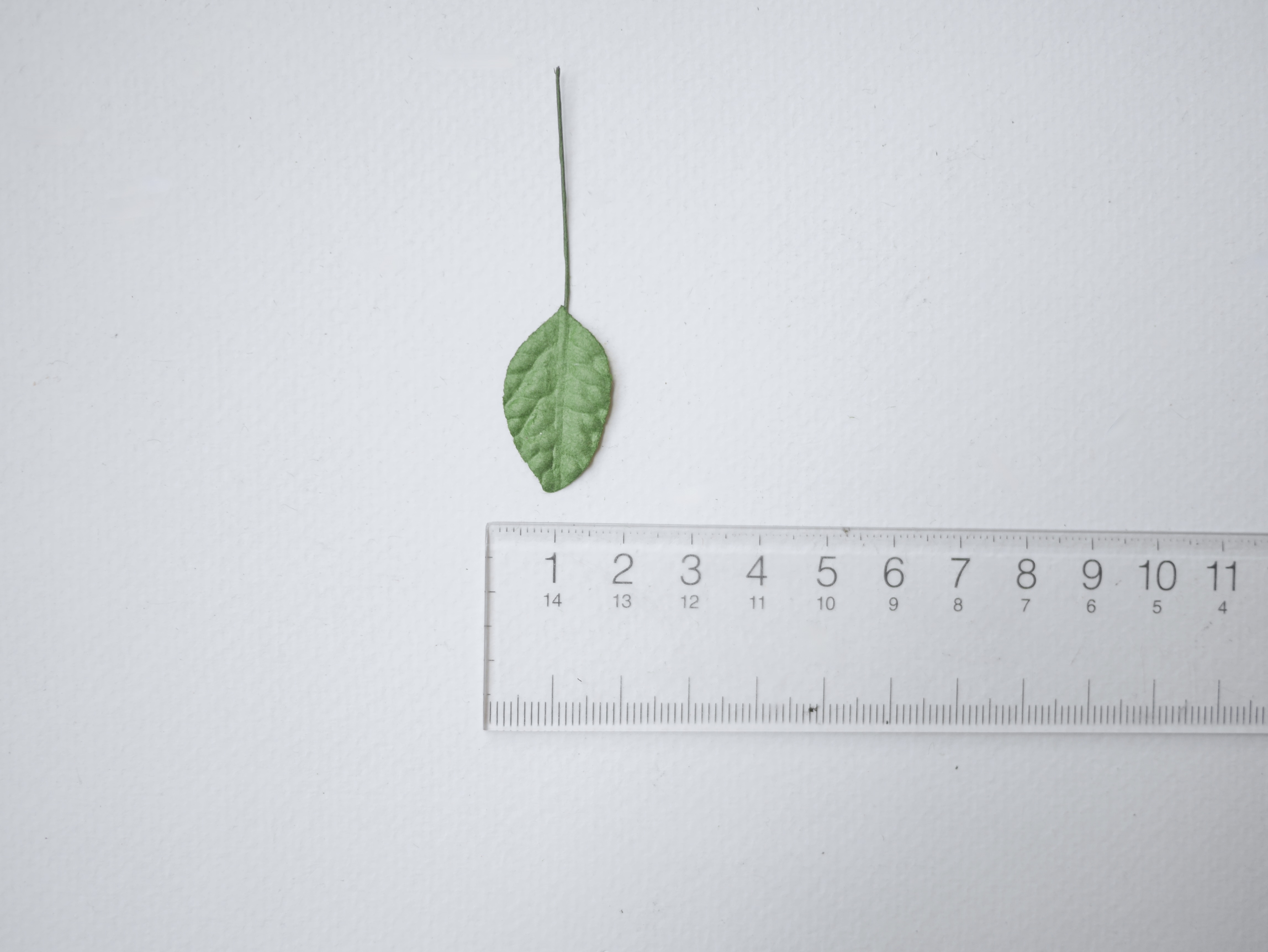 ใบไม้กระดาษ ใบไม้กระดาษสา ราคาส่ง,ใบไม้กุหลาบกระดาษ สำหรับดอกมะลิกระดาษสา ใบไม้ประดิษฐ์ สำหรับตกแต่ง หรืองานแต่งงาน สีเขียว ขนาด 2.5x1.5 cm. จำนวน 100 ใบ