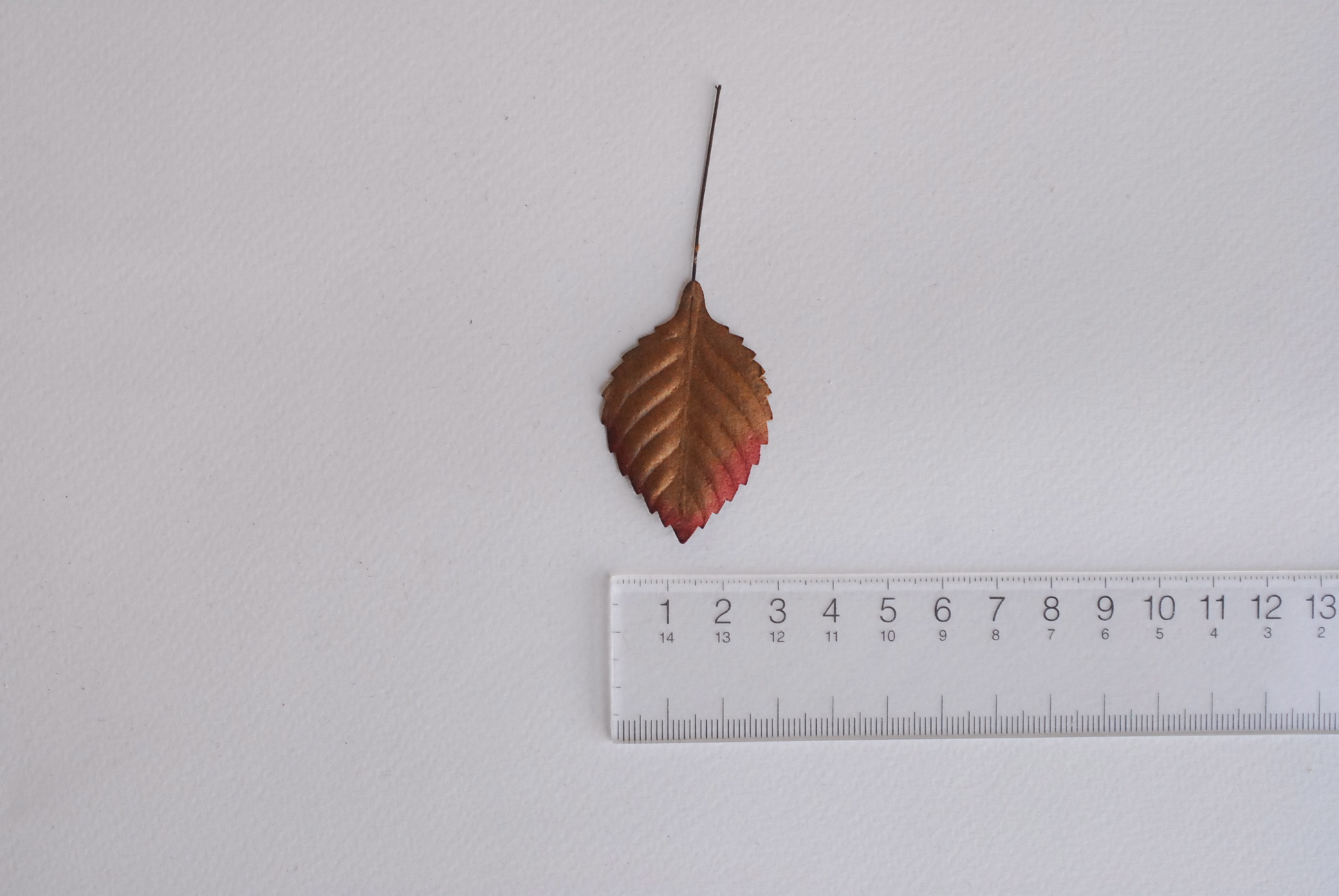 ใบไม้กระดาษ ใบไม้กระดาษสา ราคาส่ง,ใบไม่้กุหลาบกระดาษ สำหรับดอกกุหลาบกระดาษสา ใบไม้ประดิษฐ์ สำหรับตกแต่ง หรืองานแต่งงาน สีน้ำตาลปัดแดง ขนาด 4.5x2.5 cm. จำนวน 50 ใบ