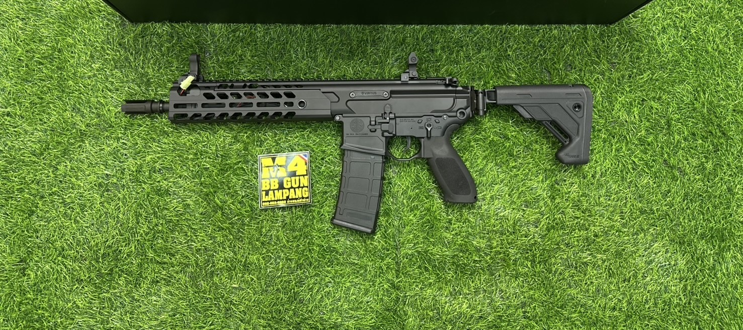 E&C SIG MCX Virtus SBR 9.5" AEG