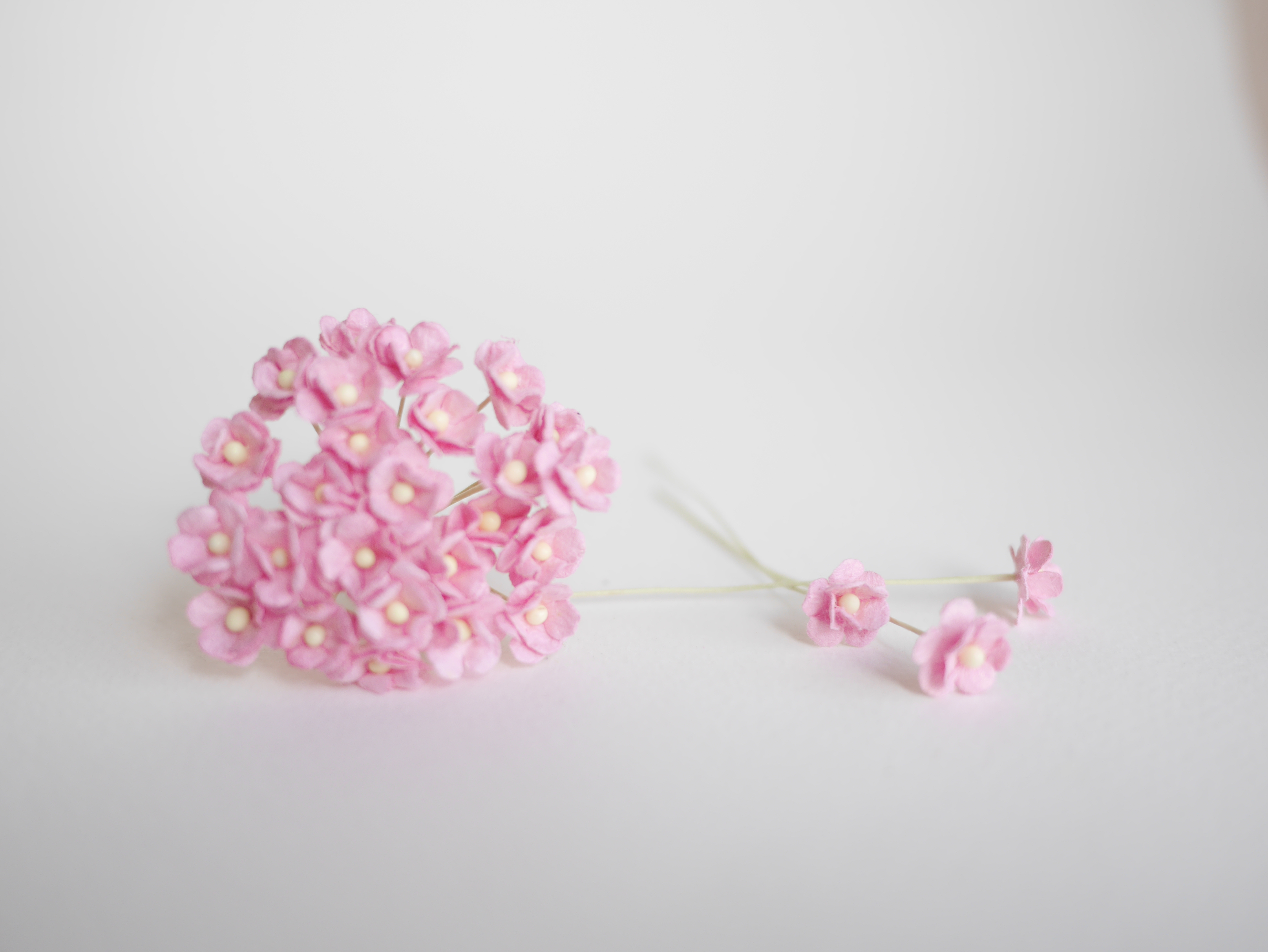 ดอกไม้กระดาษสา ดอกไม้กระดาษสาราคาส่ง ดอกไม้กระดาษสำหรับตกแต่ง งานแต่งงาน หรือติดของชำร่วย ดอก creeping lady 100 ดอก ขนาด 0.8 cm. สีชมพู Small Paper Flower with stem, 100 pcs., size 0.8 cm., creeping flowers 2 layers, pink color