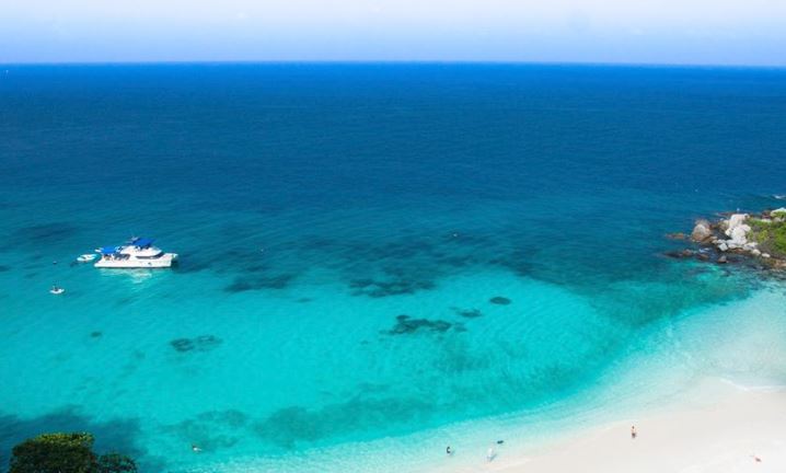 ทัวร์เกาะราชาน้อย เกาะราชาใหญ่ ดูโลมารอบเกาะไม้ท่อน