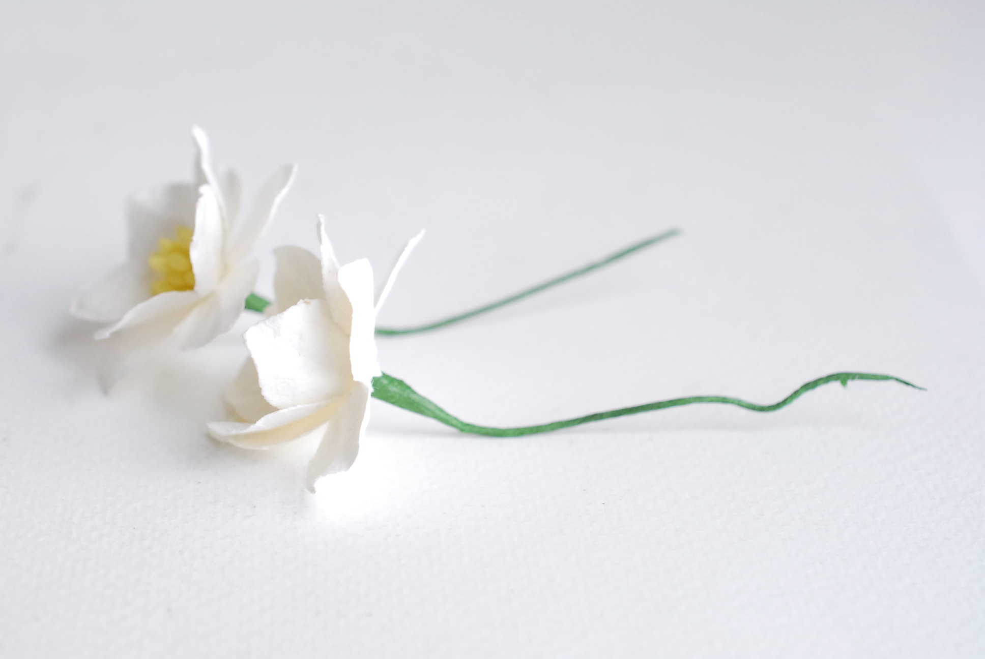 ดอกไม้กระดาษสา ดอกโลตัสอินโดนิเซียกระดาษ ดอกไม้กระดาษสาราคาส่ง ดอกไม้กระดาษสำหรับตกแต่งของชำร่วย งานแต่งงาน ทำช่อดอกไม้ติดอกเจ้าบ่าว ข้อมือดอกไม้เจ้าสาว ขนาด3.5 cm. 25 ดอก สีออฟไวท์ Paper flowers supplies: DIY wedding tools Big Cherry blossom