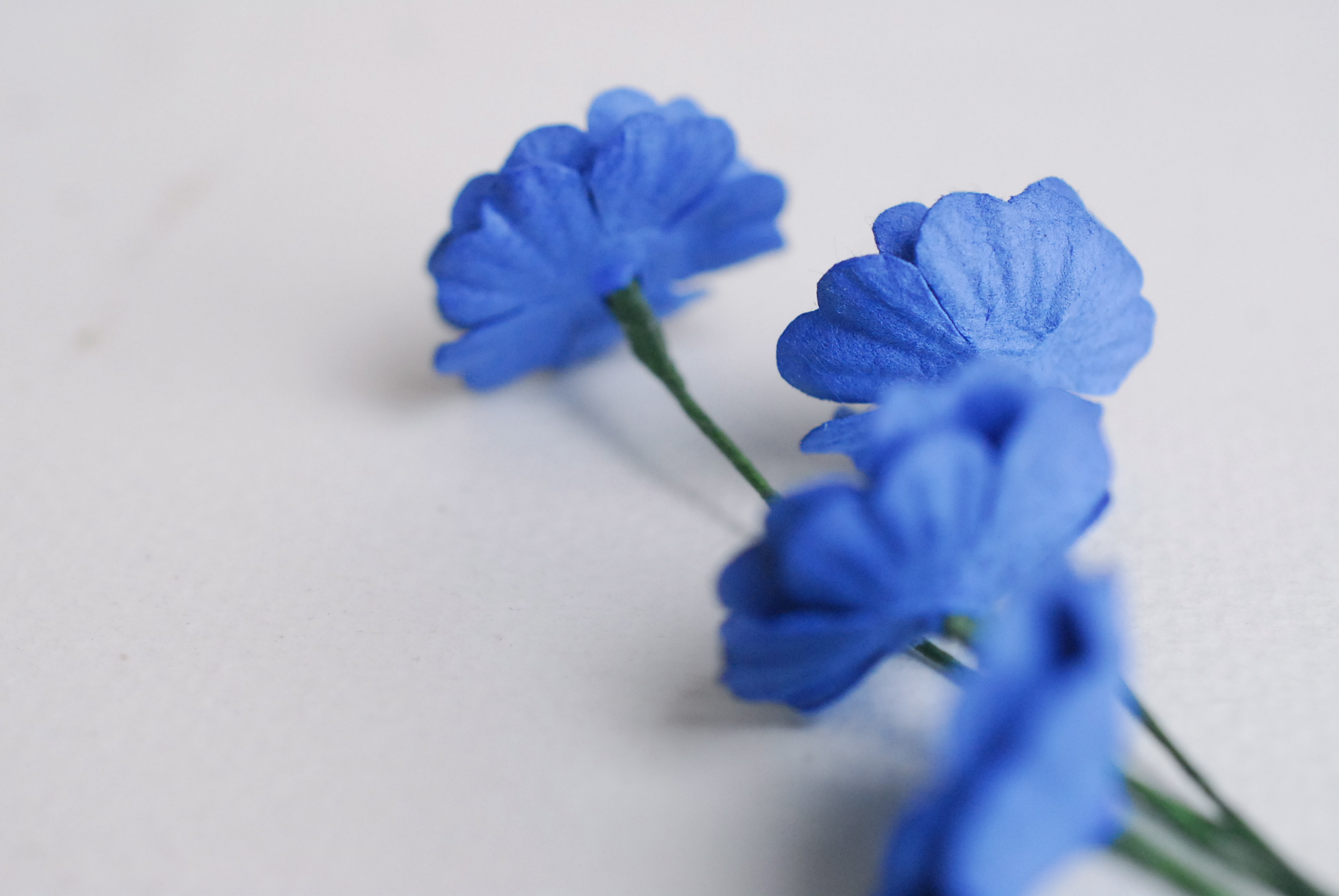 ดอกไม้กระดาษสา ดอกไม้กระดาษสา จตุจักร งานประดิษฐ์ ดอกไม้ทำข้อมือเพื่อนเจ้าสาว แต่งงาน ดอกไม้กระดาษ poppy สีน้ำเงิน royal blue ขนาด 2.00 cm.