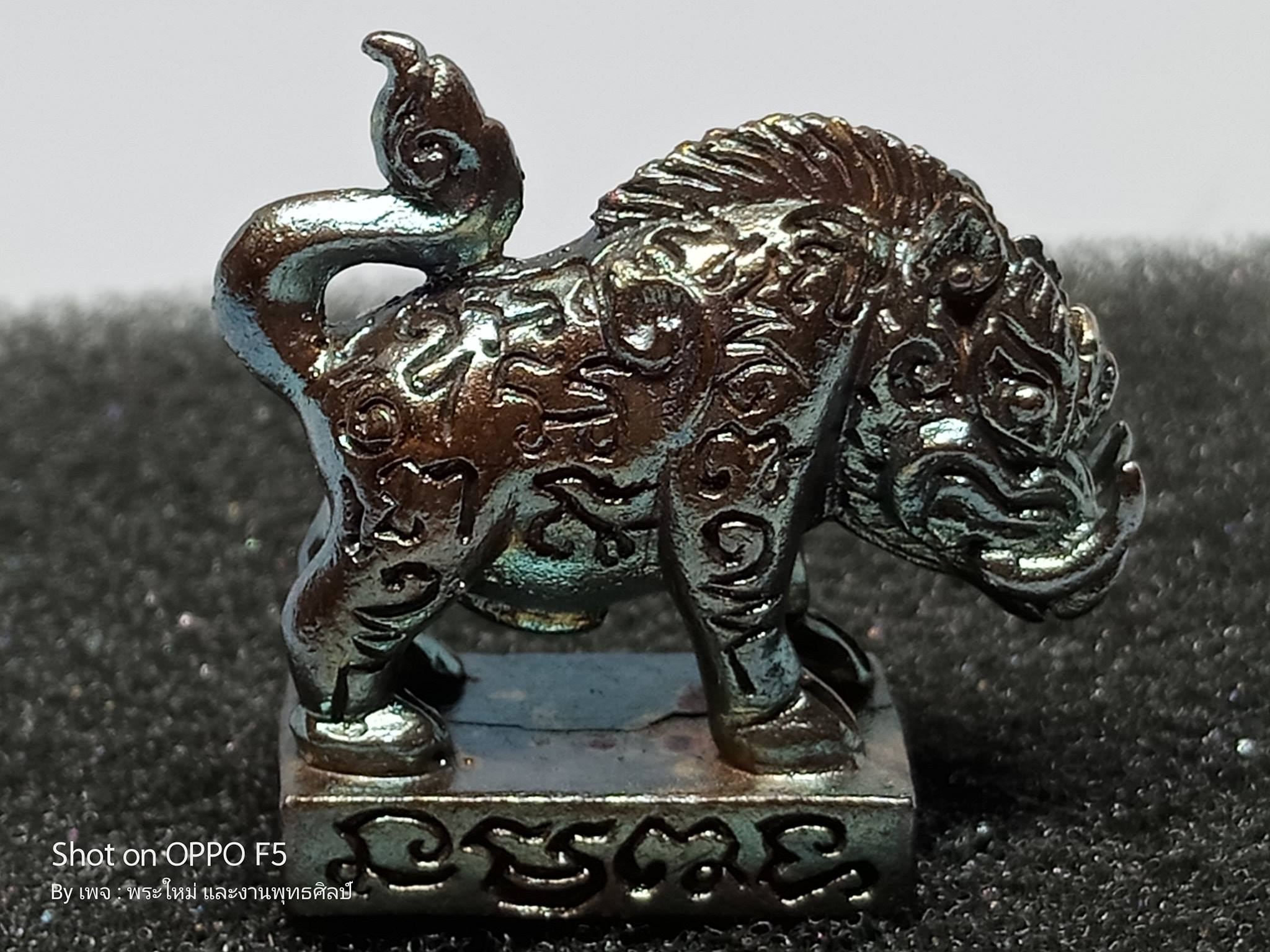 พญาหมูป่ามหาลาภ