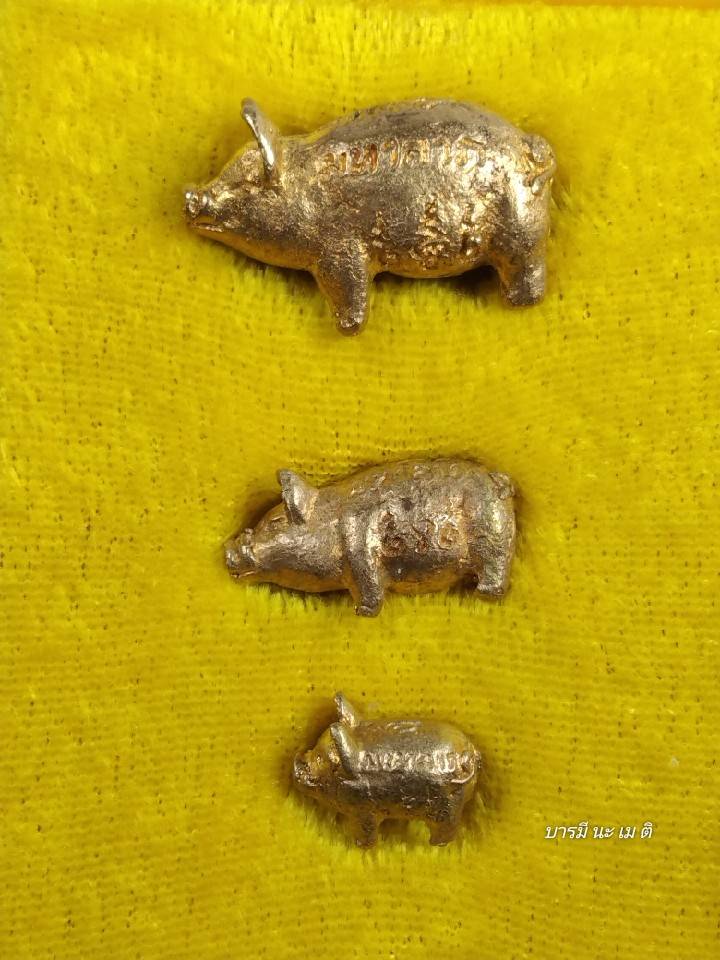 พญาหมู มหาลาภ ปลดหนี้ (ครอบครัว พ่อ แม่ ลูก) เนื้อ : ทองทิพย์