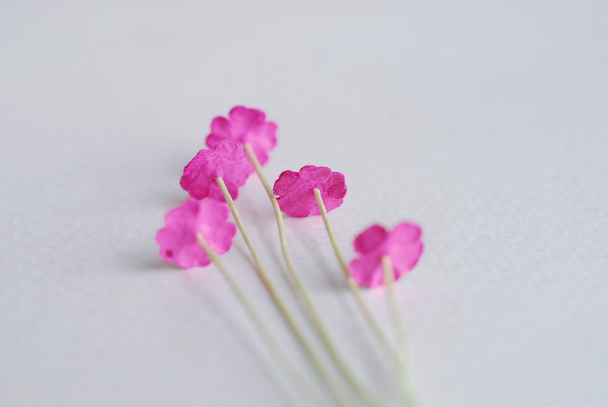 ดอกไม้กระดาษสา ดอกไม้กระดาษสาราคาส่ง ดอกไม้กระดาษสำหรับตกแต่ง งานแต่งงาน หรือติดของชำร่วย ดอกไม้จิ๋ว 100 ดอก ขนาด 0.6 cm. สีชมพูเข้ม Small Paper Flower with stem, , 100 pcs., size 0.6 cm., small creeping ladies flowers 1 layer, hot pink color.