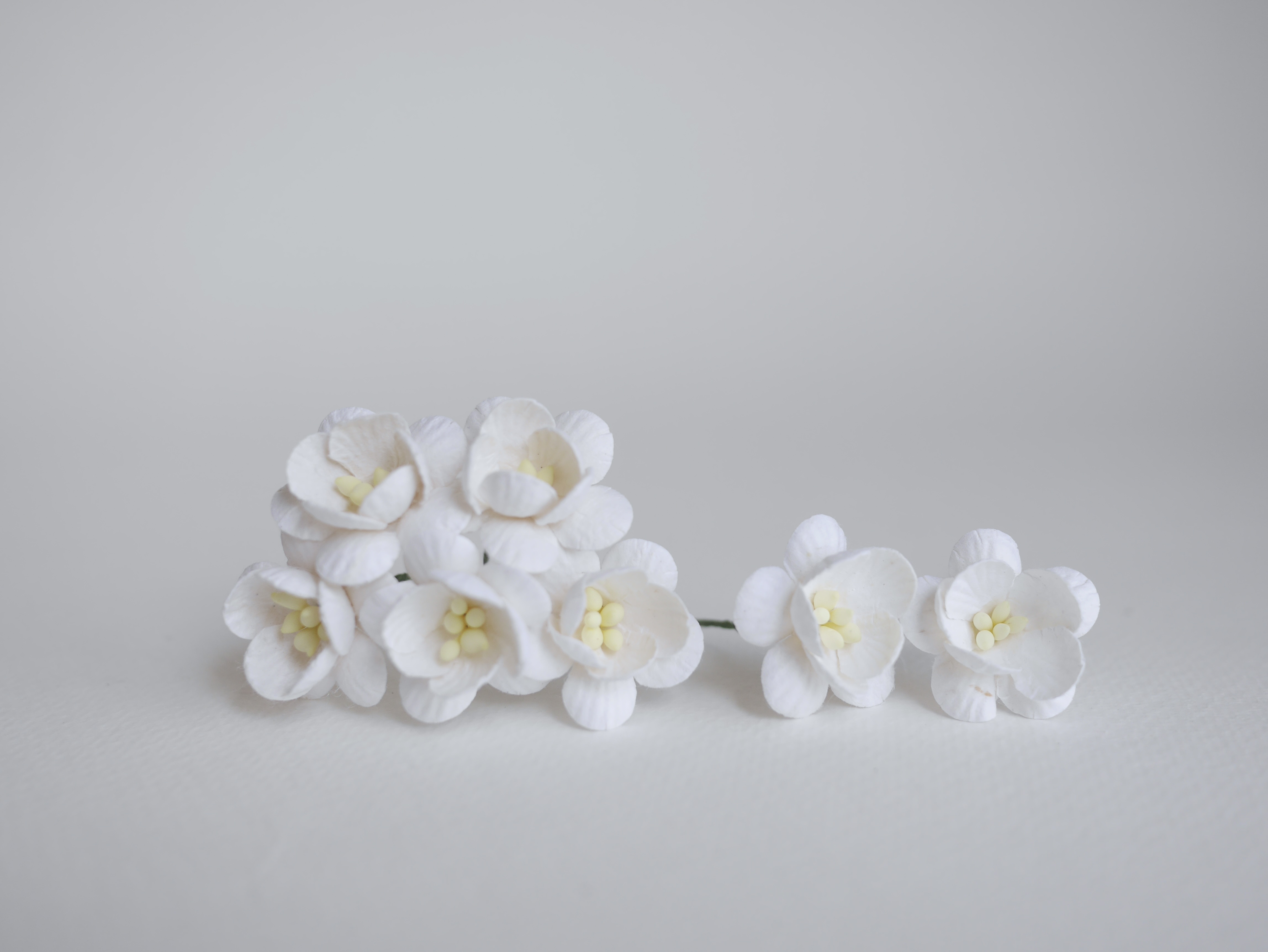 ดอกไม้กระดาษสา ดอกซากุระกระดาษ ขนาดเล็ก ดอกไม้กระดาษสาราคาส่ง ดอกไม้กระดาษสำหรับตกแต่งของชำร่วย งานแต่งงาน ทำช่อดอกไม้ติดอกเจ้าบ่าว ข้อมือดอกไม้เจ้าสาว ขนาด2.5 cm. 50 ดอก สีขาว white Paper flowers supplies: DIY wedding tools small Cherry blossom (Sakura)