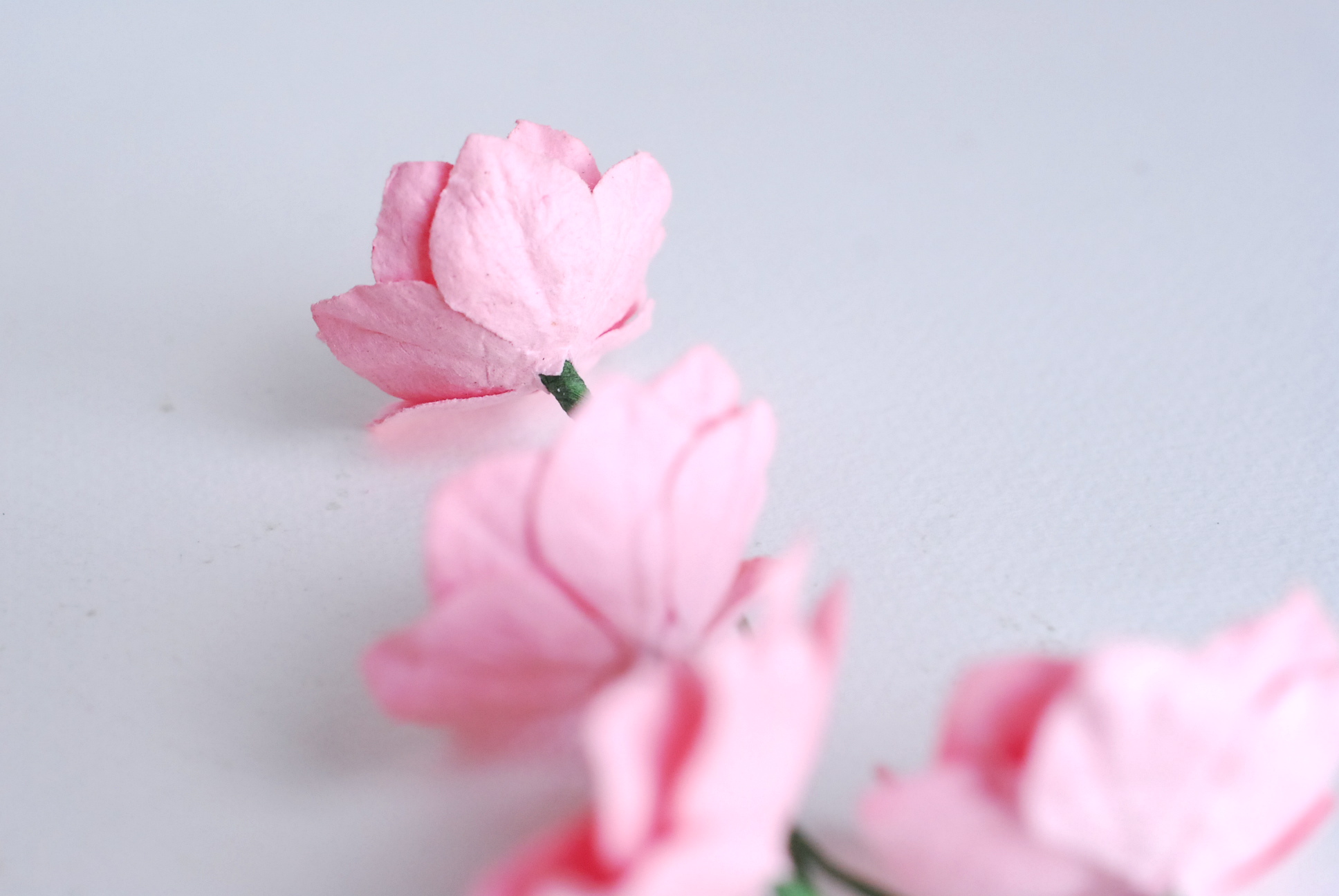 ดอกไม้กระดาษสา ดอกโลตัสอินโดนิเซียกระดาษ ดอกไม้กระดาษสาราคาส่ง ดอกไม้กระดาษสำหรับตกแต่งของชำร่วย งานแต่งงาน ทำช่อดอกไม้ติดอกเจ้าบ่าว ข้อมือดอกไม้เจ้าสาว ขนาด3.5 cm. 25 ดอก สีชมพู Paper flowers supplies: DIY wedding tools Big Cherry blossom (Lotus Indonisi