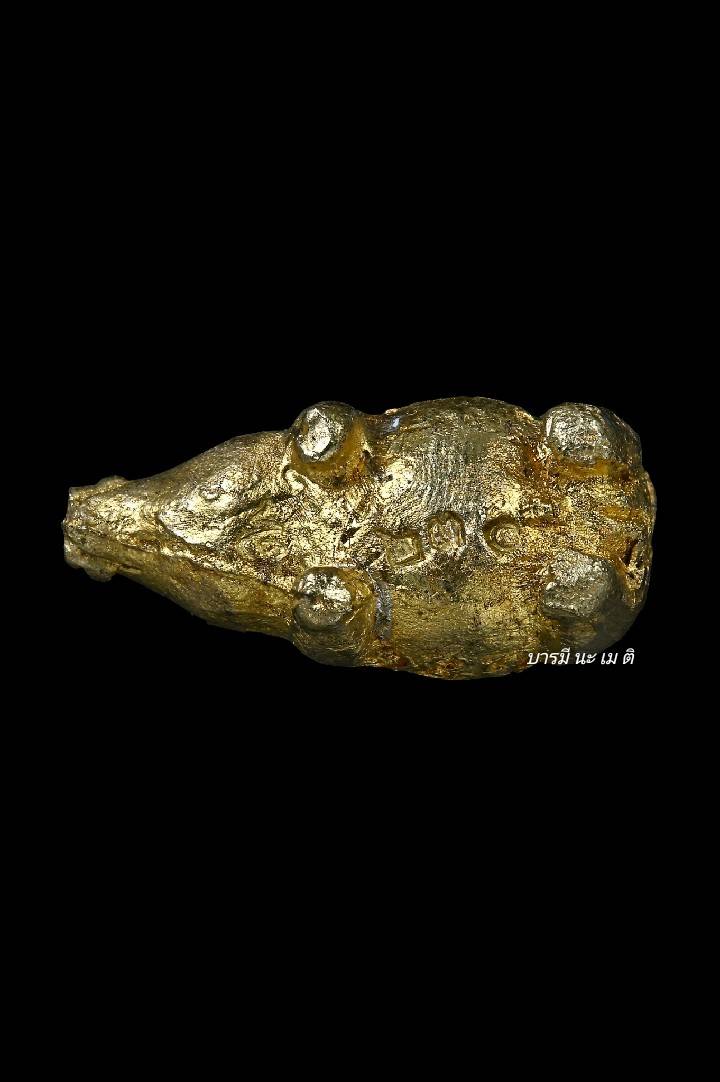 พญาหมู มหาลาภ ปลดหนี้ (ตัวแม่ แยกจากชุด ครอบครัว) เนื้อ : ทองทิพย์